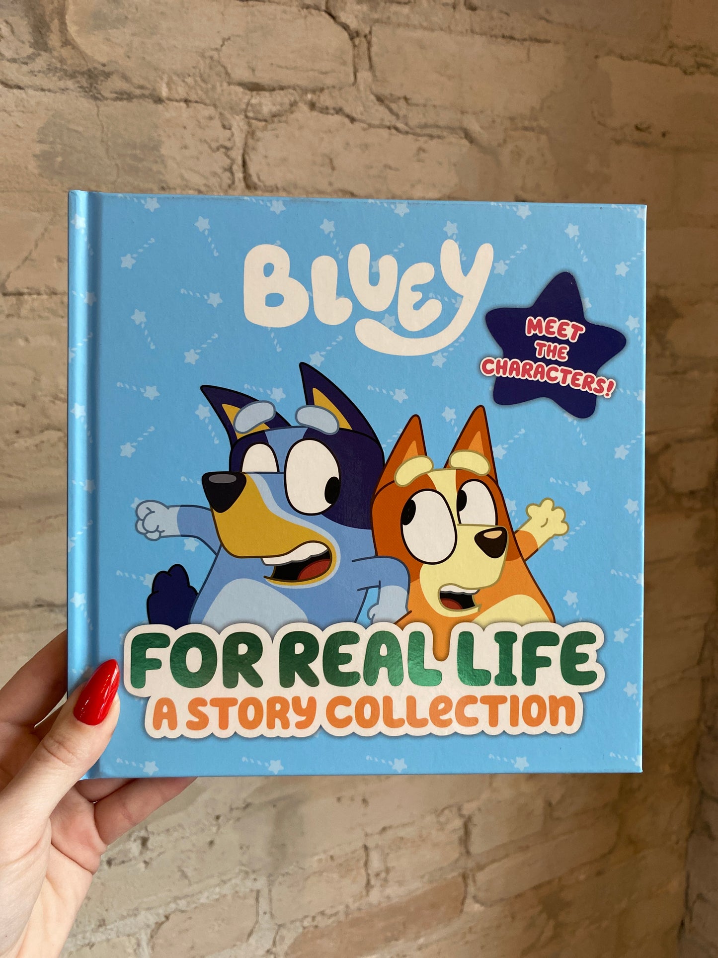 Bluey: For Real Life- A Story Collection