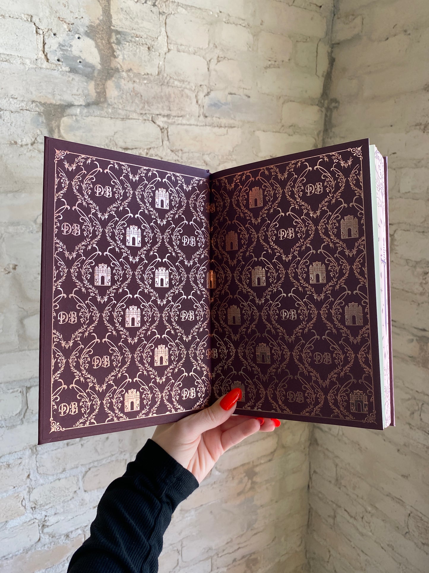 Terms and Conditions by Lauren Asher (Collector's Edition) (Book 2) *PREORDER*