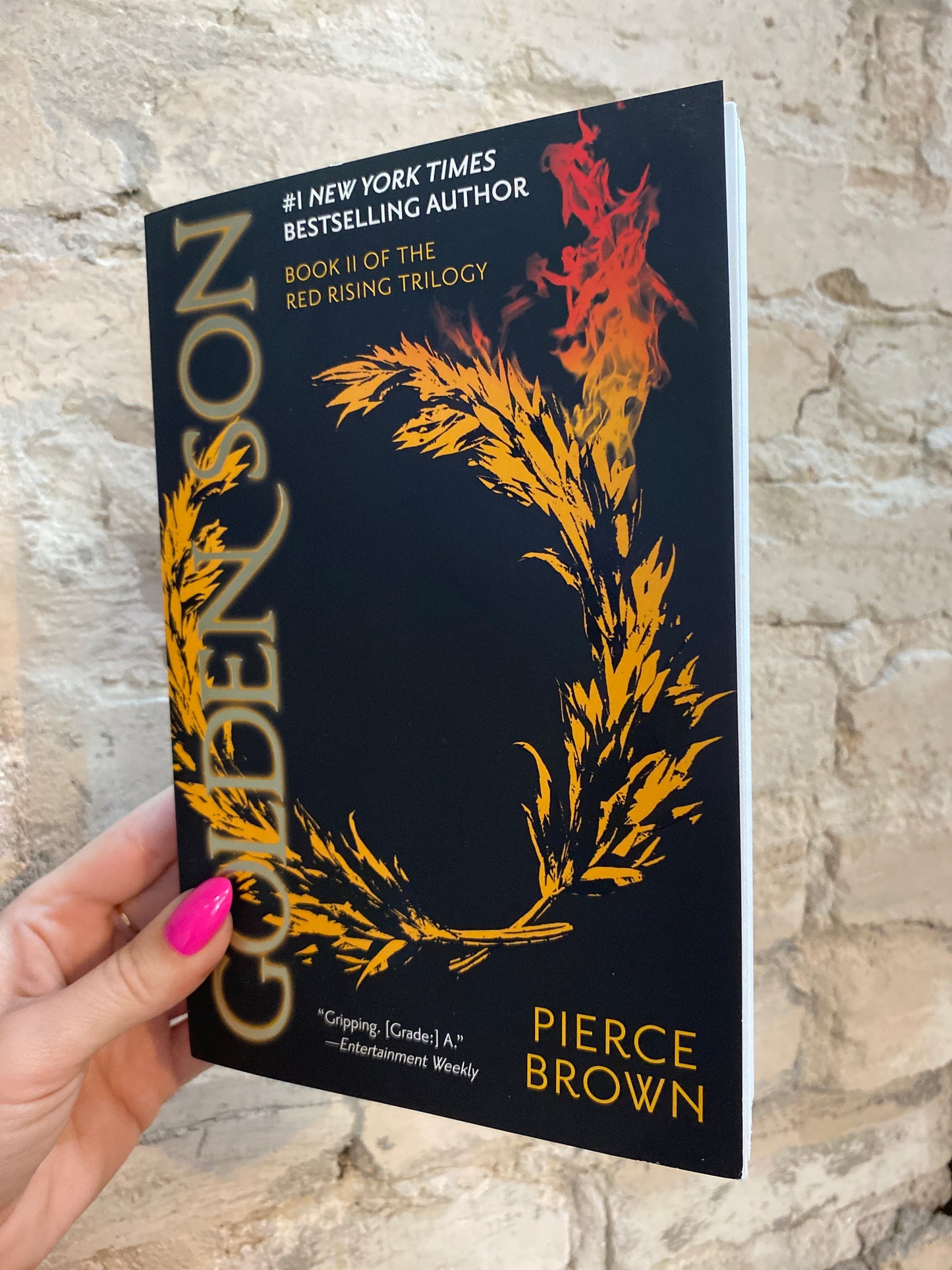 Golden Son by Pierce Brown (Book 2)