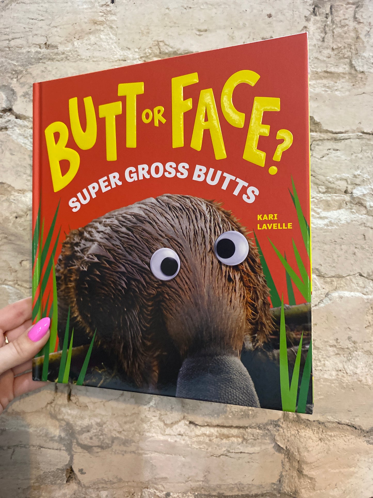 Butt or Face by Kari Lavelle (Volume 3)