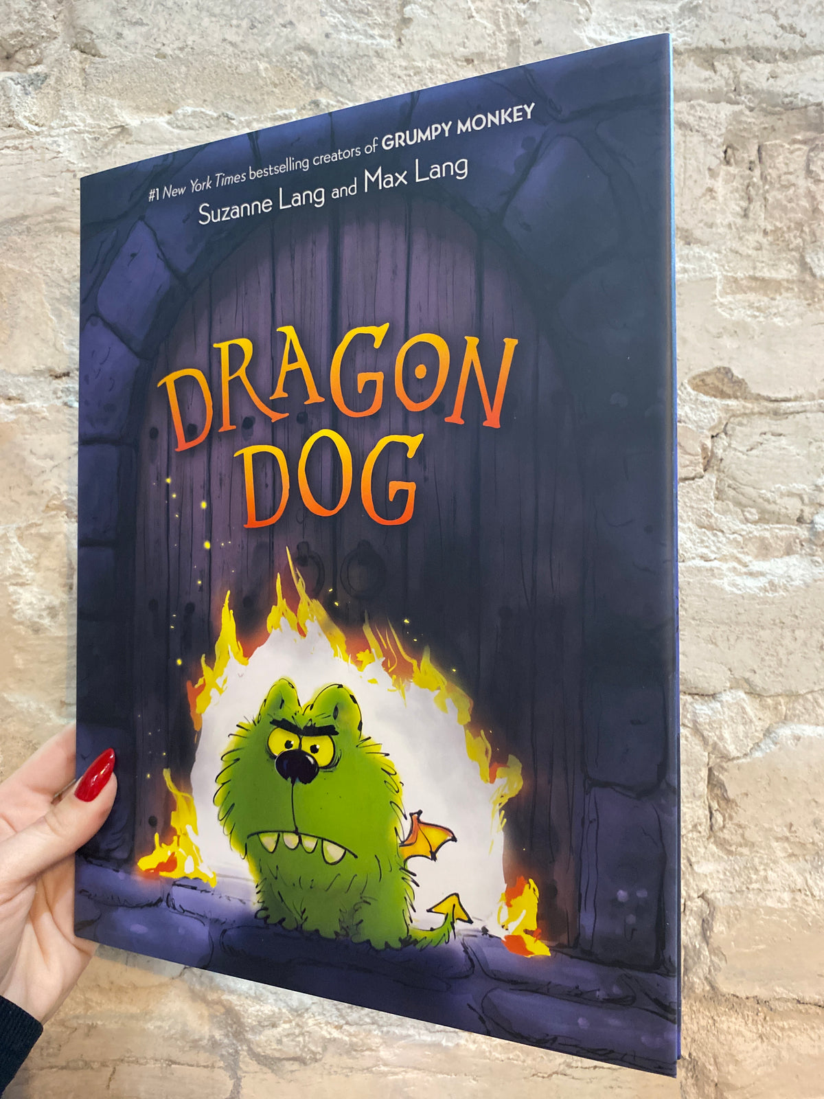 Dragon Dog by Suzanne Lang and Max Lang