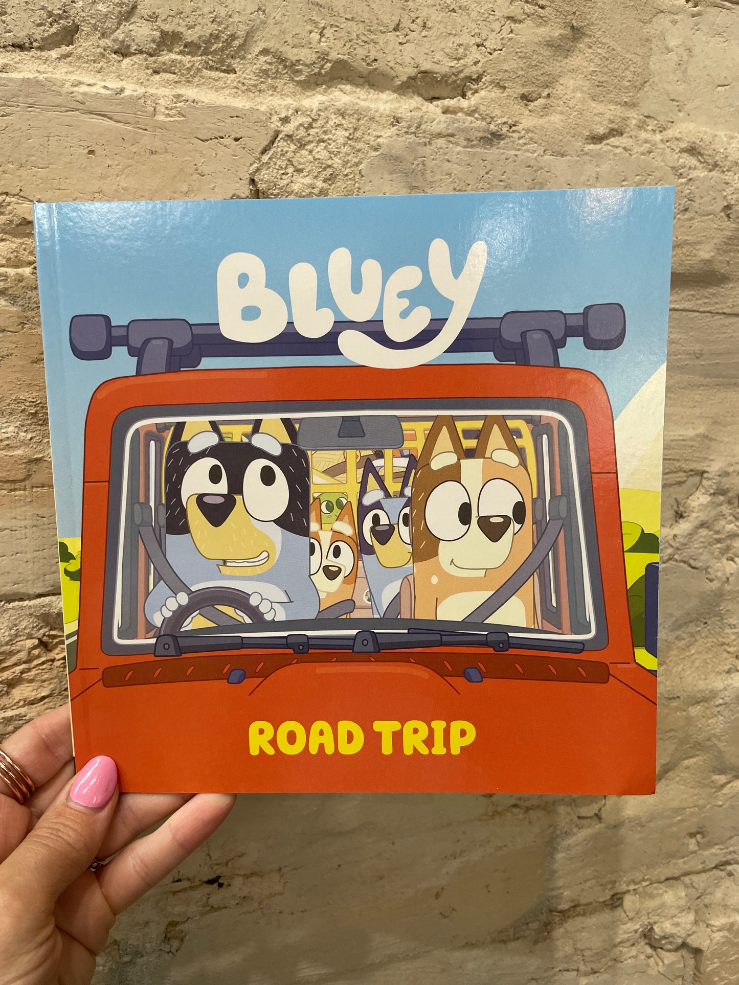 Bluey Road Trip