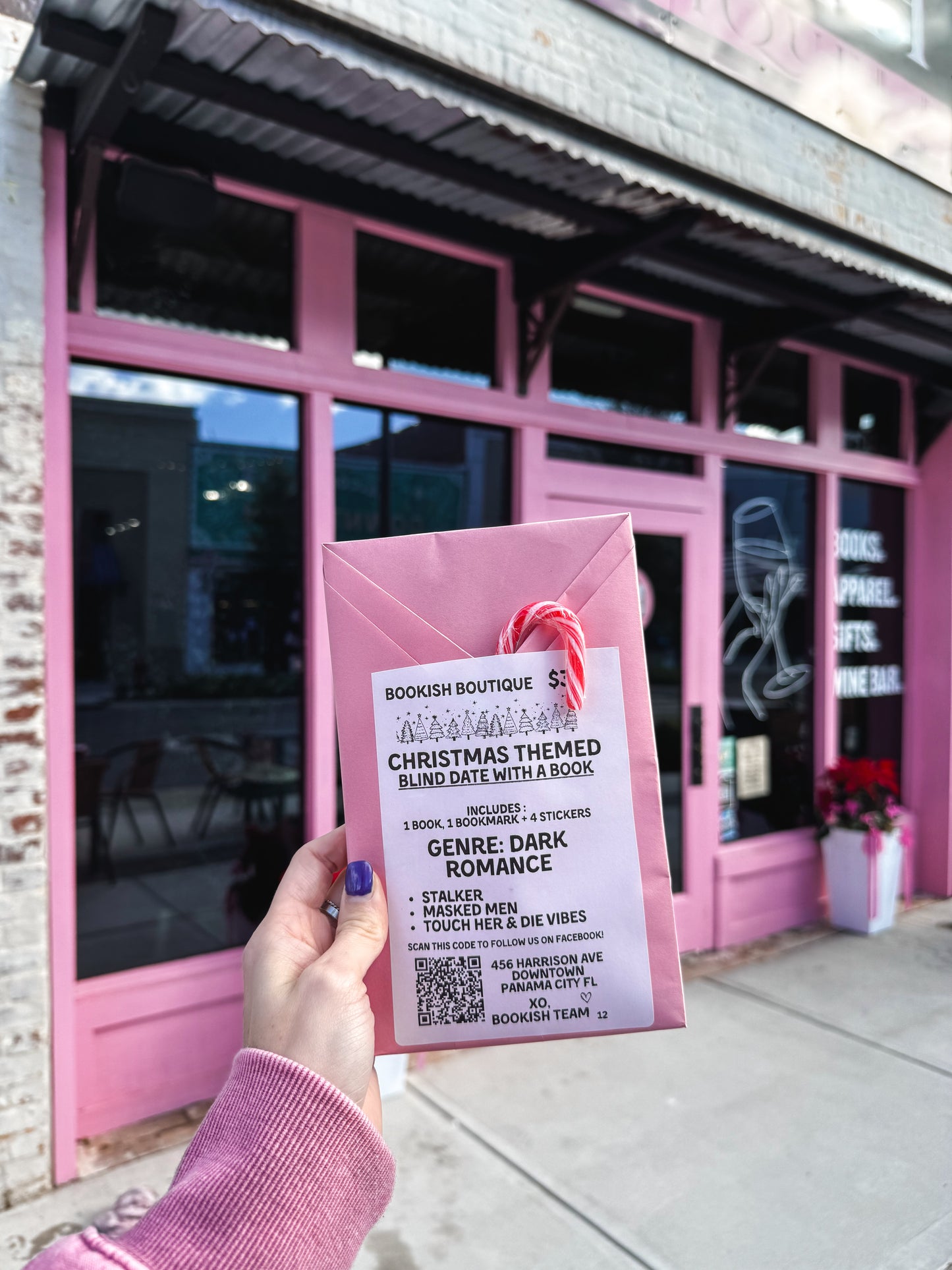 Blind Date Book Christmas