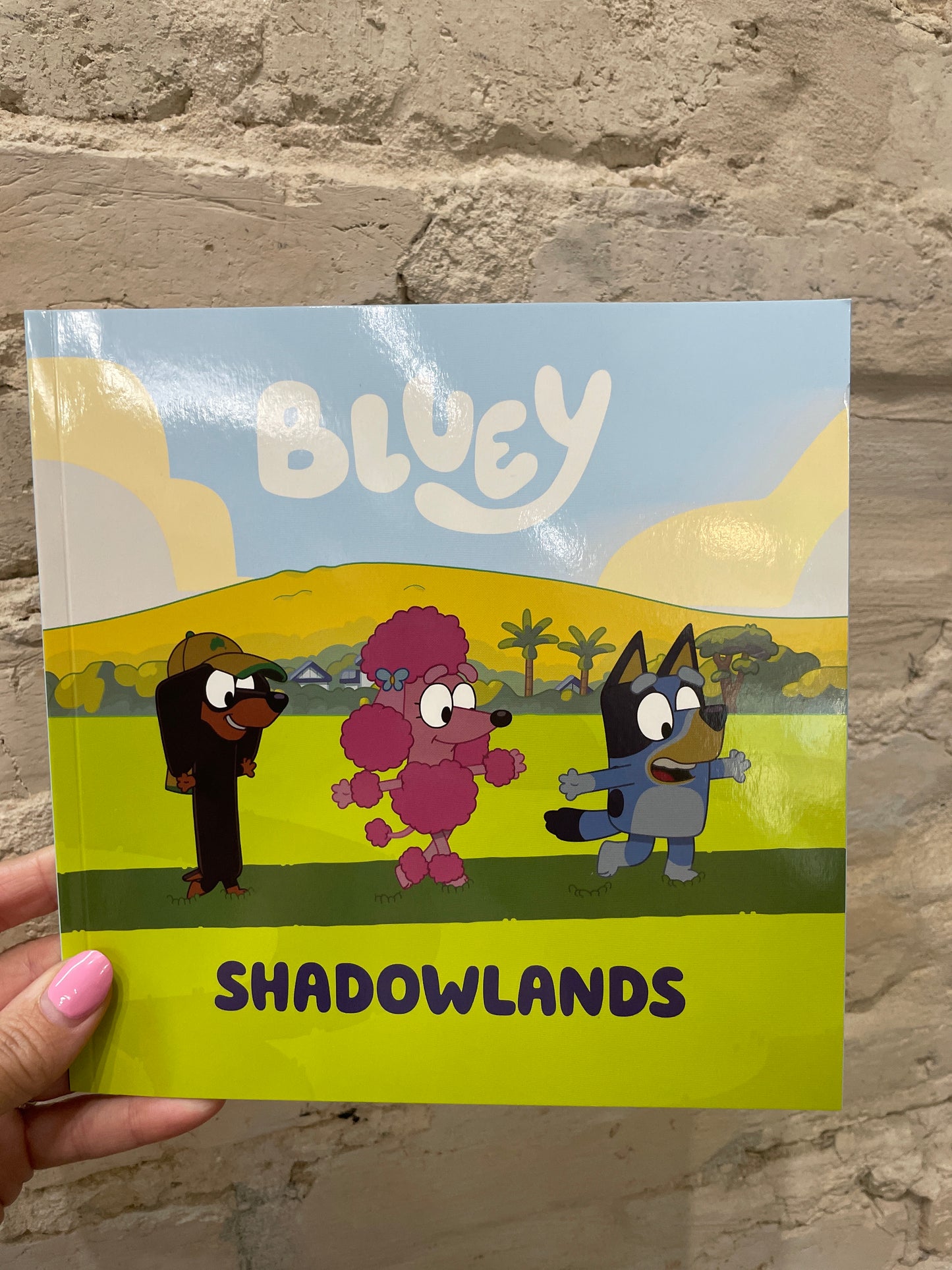 Bluey Shadowlands