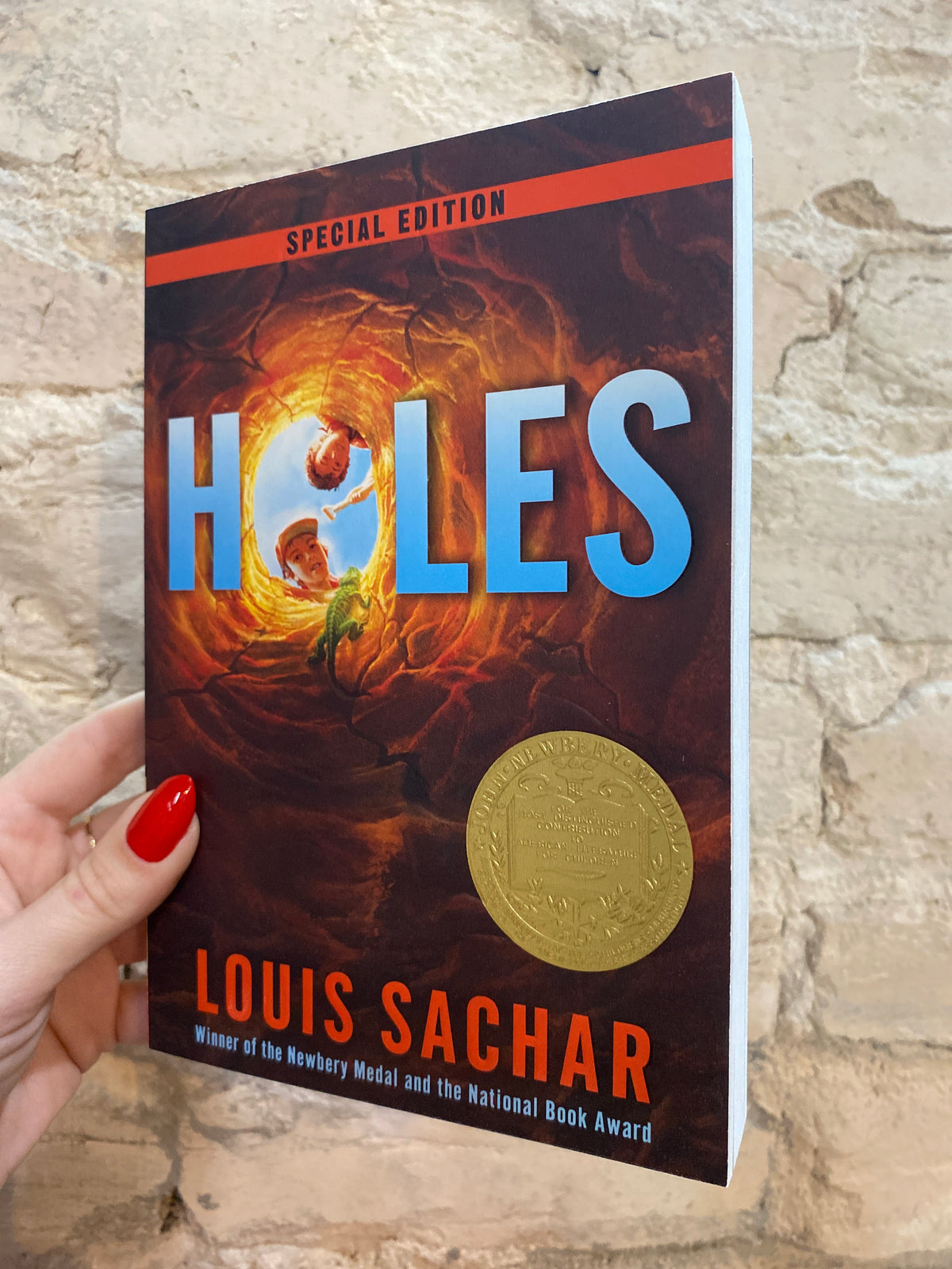 Holes by Louis Sachar
