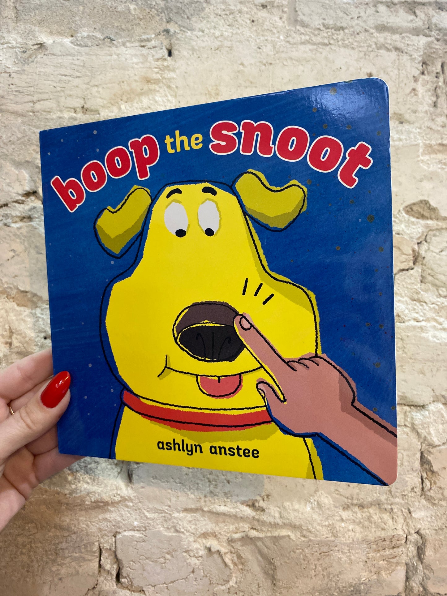 Boop the Snoot by Ashlyn Anstee