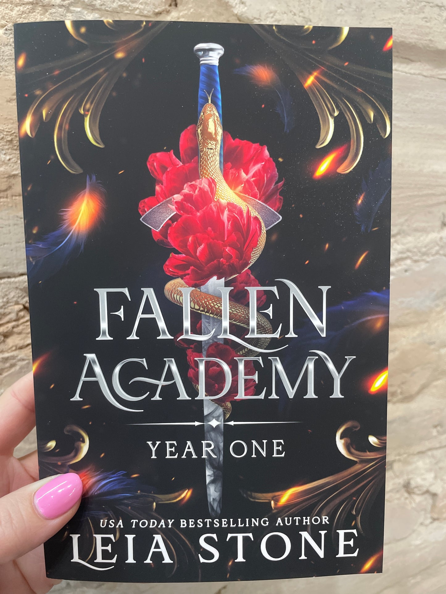 Fallen Academy