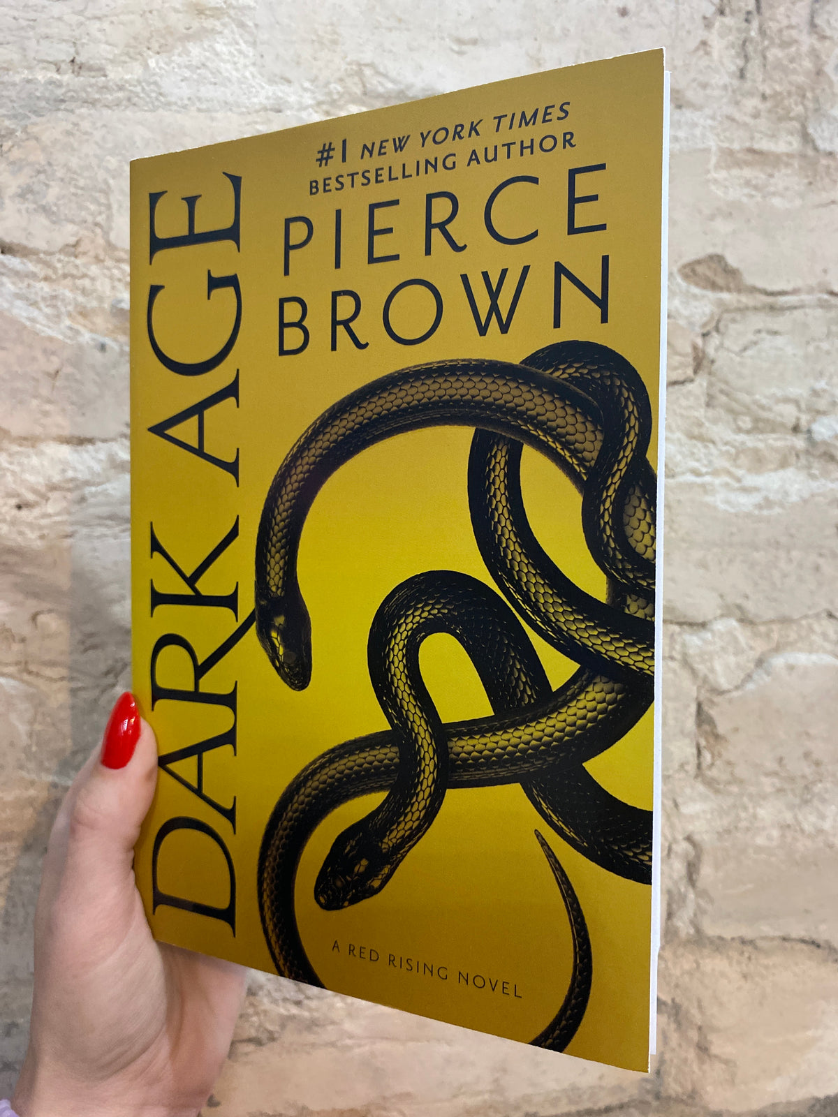 Dark Age by Pierce Brown (Red Rising Saga: Book 5)