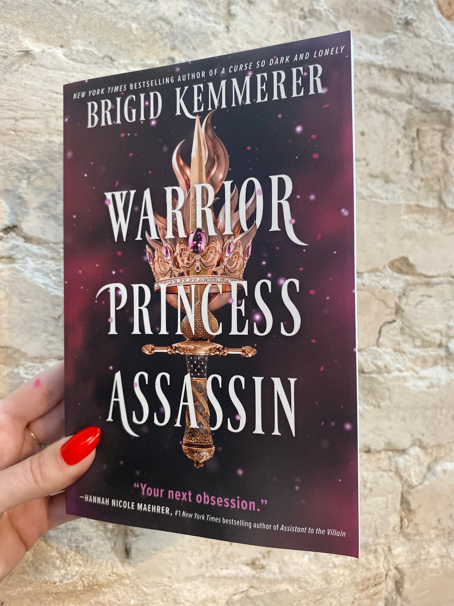 Warrior Princess Assassin by Brigid Kemmerer (Book 1)