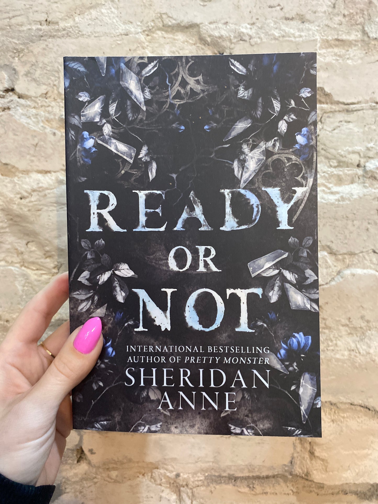Ready or Not by Sheridan Anne (Book 2) (Deluxe Edition)