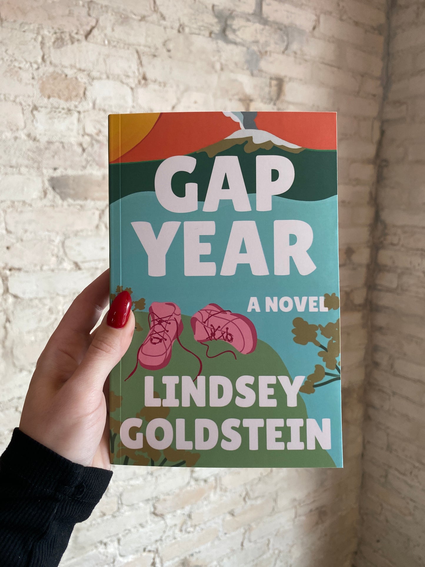 Gap Year by Lindsey Goldstein