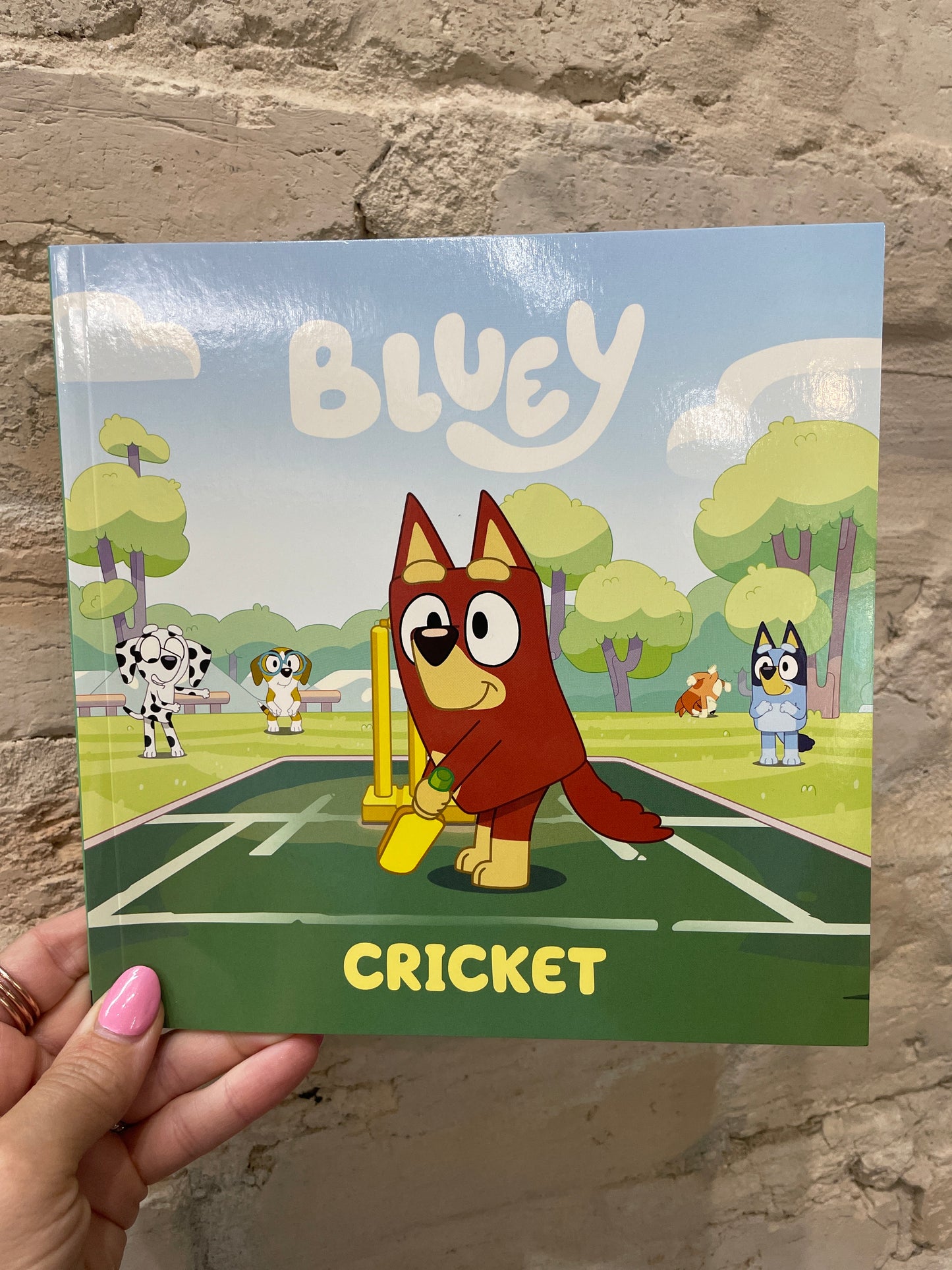 Bluey Cricket