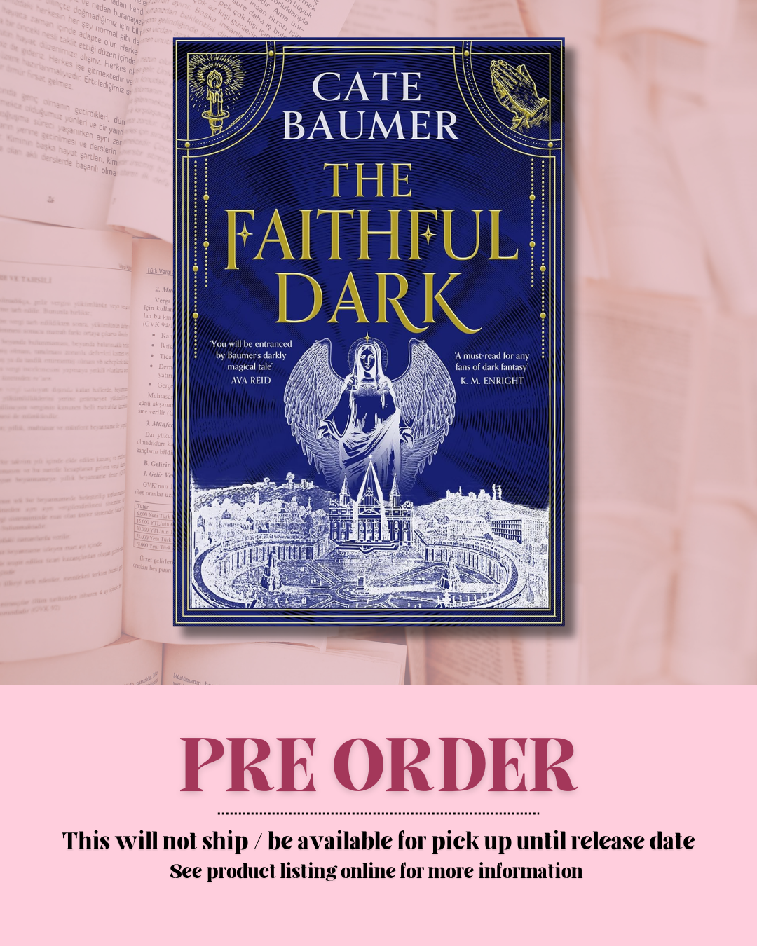 The Faithful Dark by Cate Baumer *PREORDER*