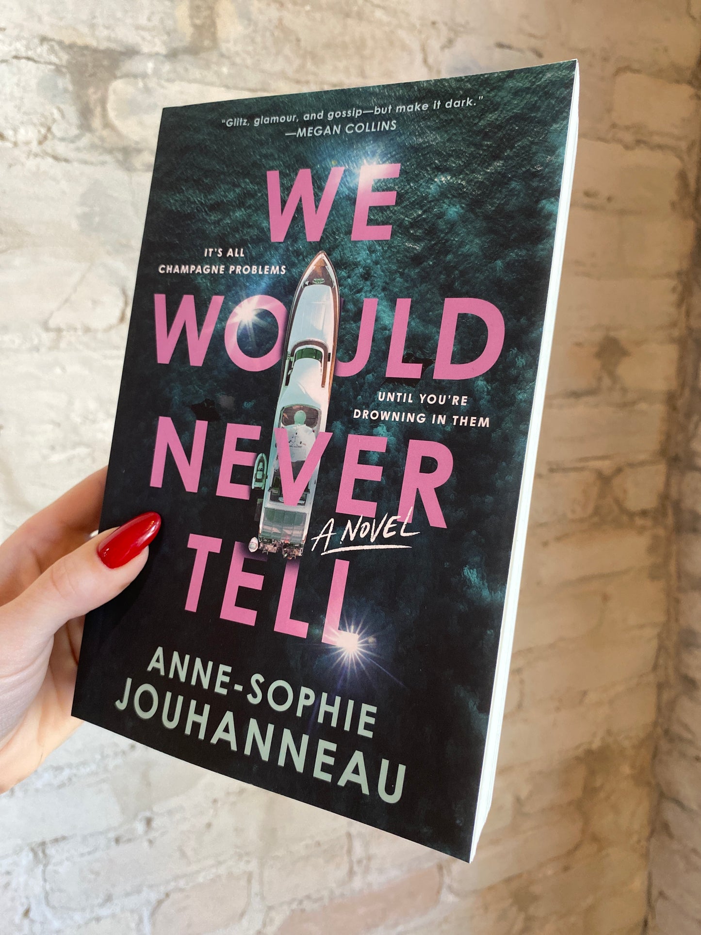 We Would Never Tell by Anne-Sophie Jouhanneau
