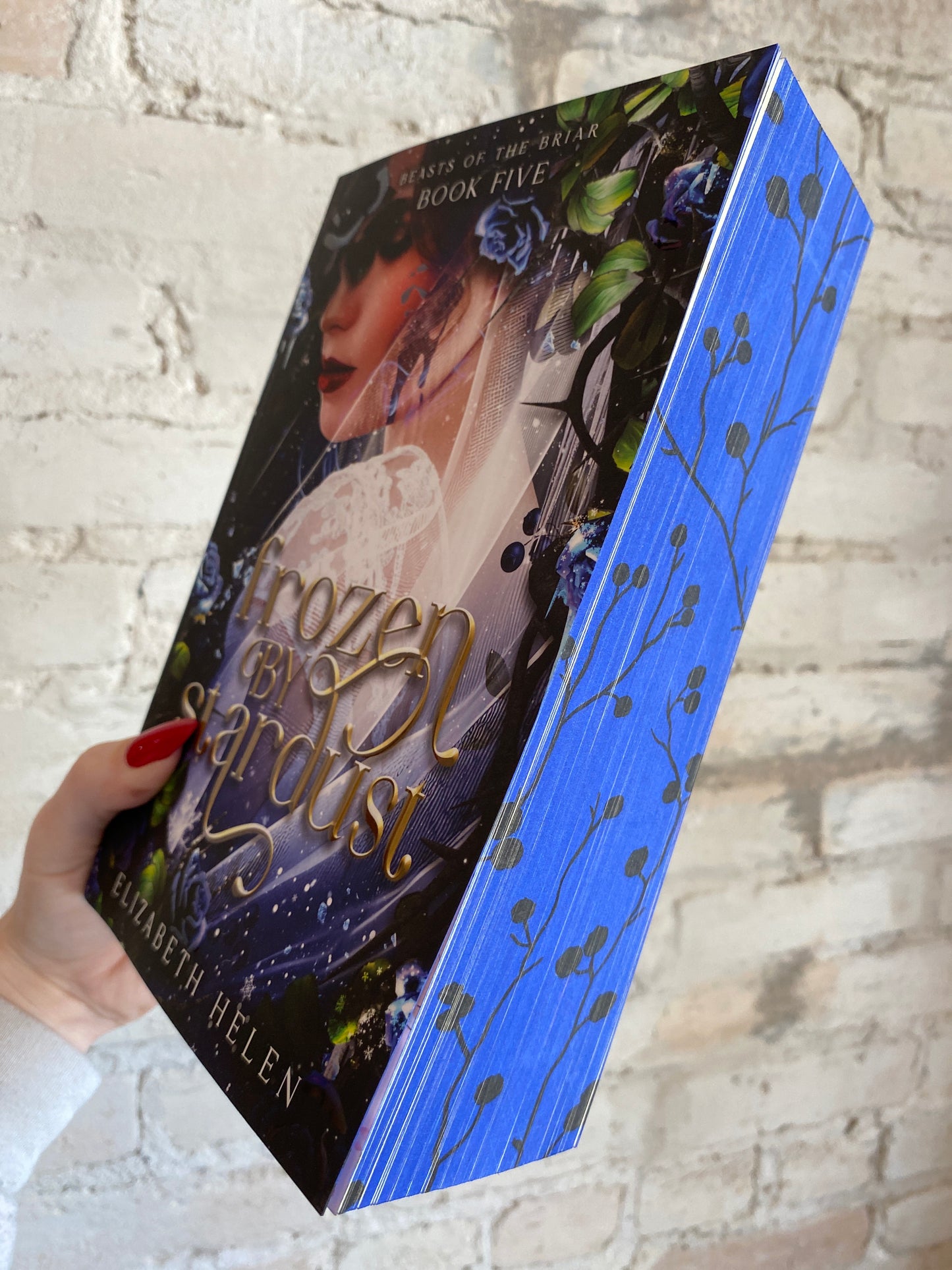 Frozen By Stardust by Elizabeth Helen (Deluxe Edition) (Book 5)