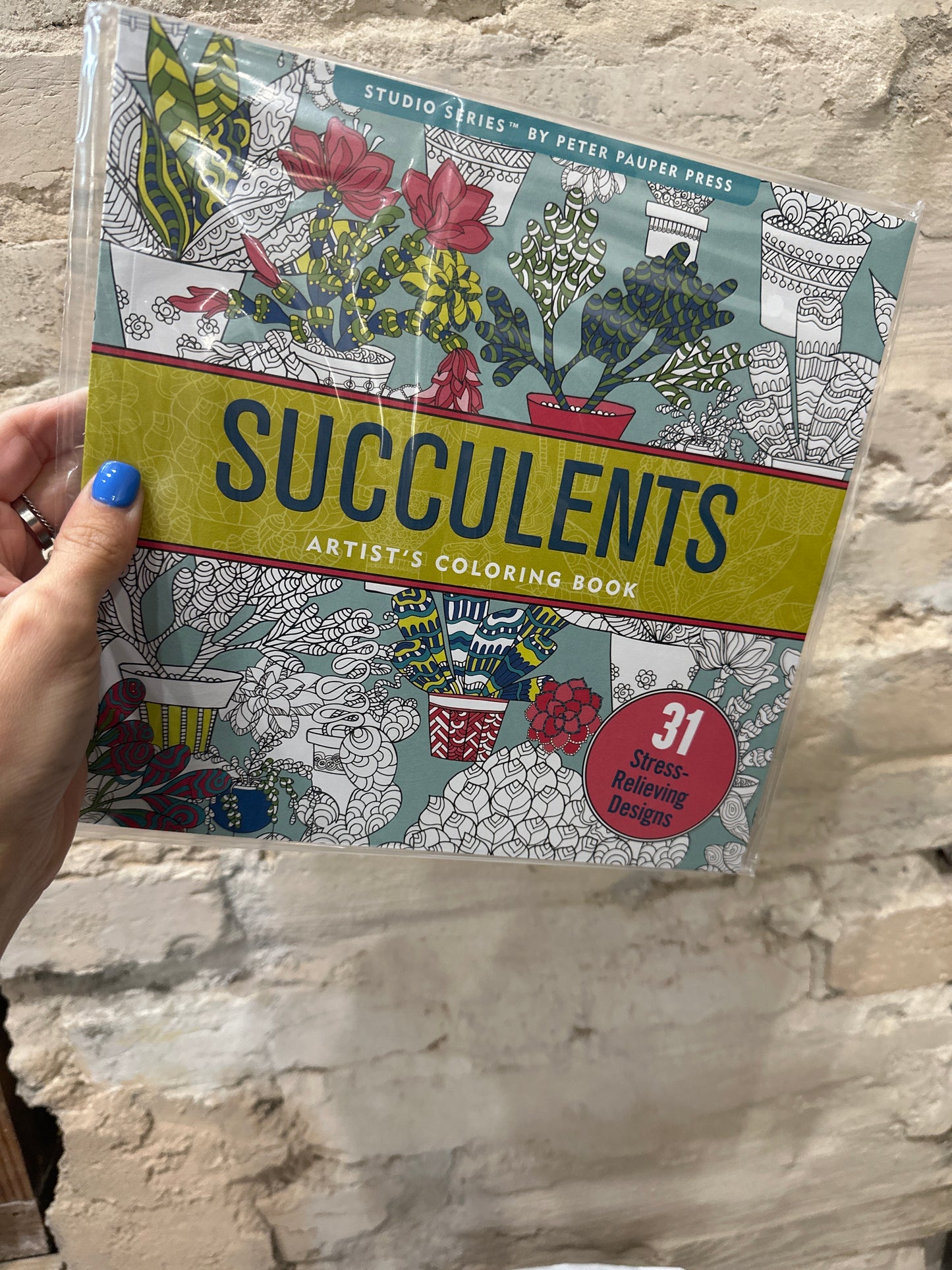 Succulents Coloring Book