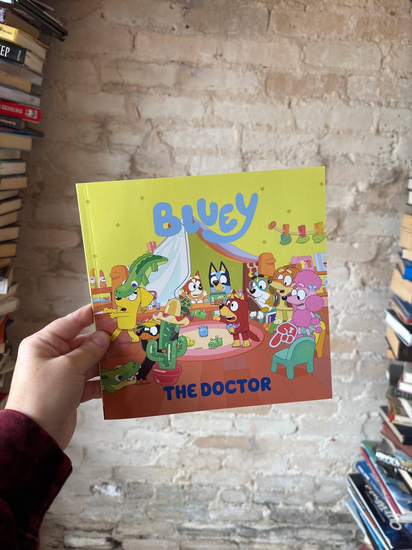 The Doctor - Bluey