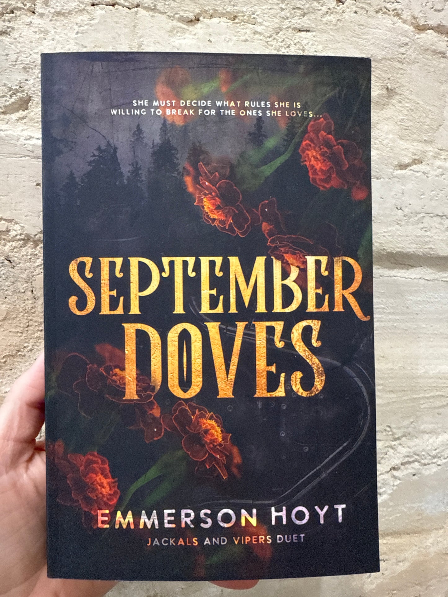 September Doves