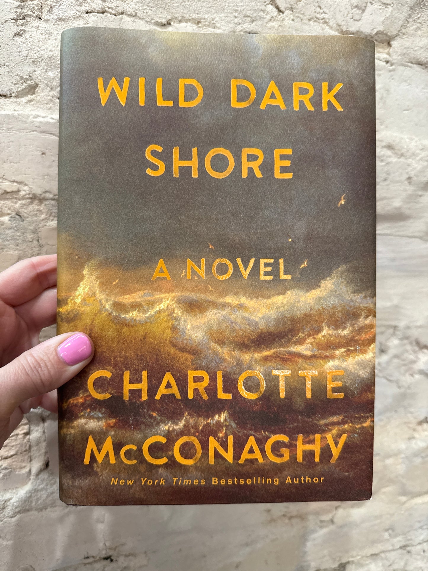 Wild Dark Shore