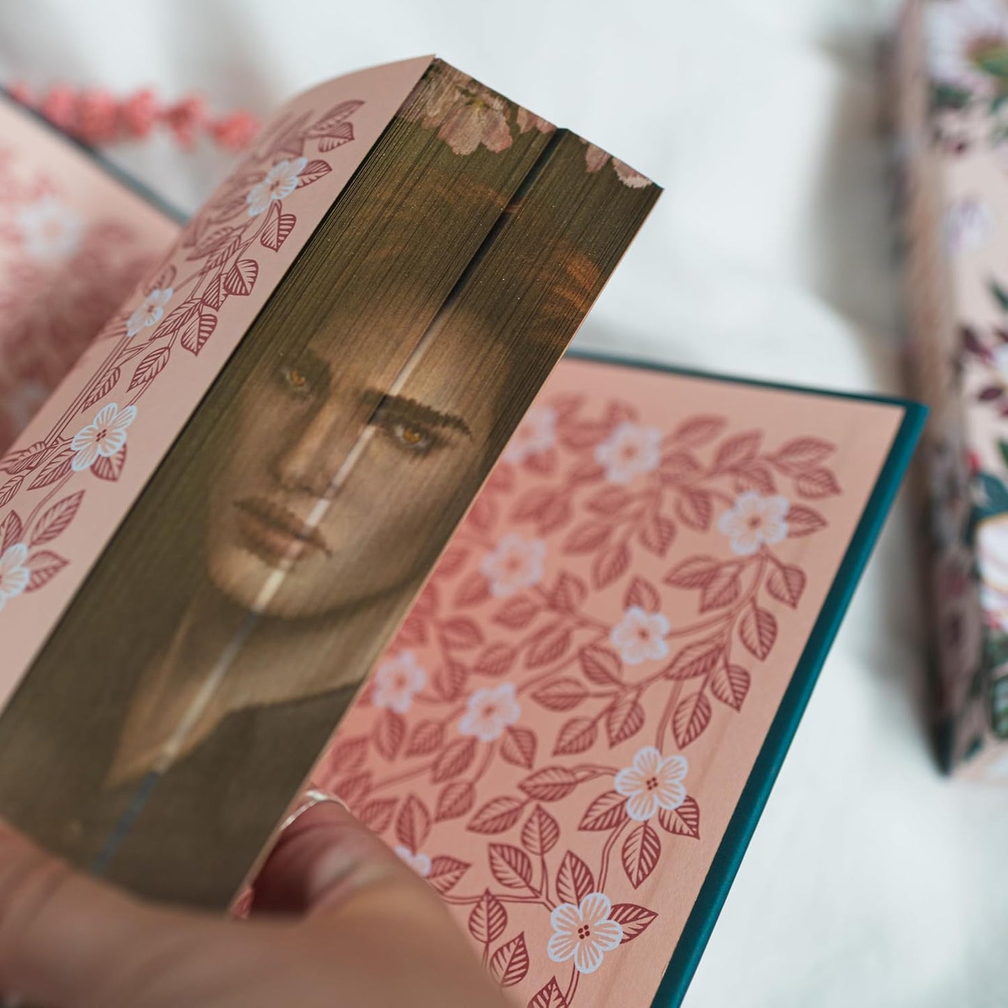 Twilight: Deluxe Collectors Edition