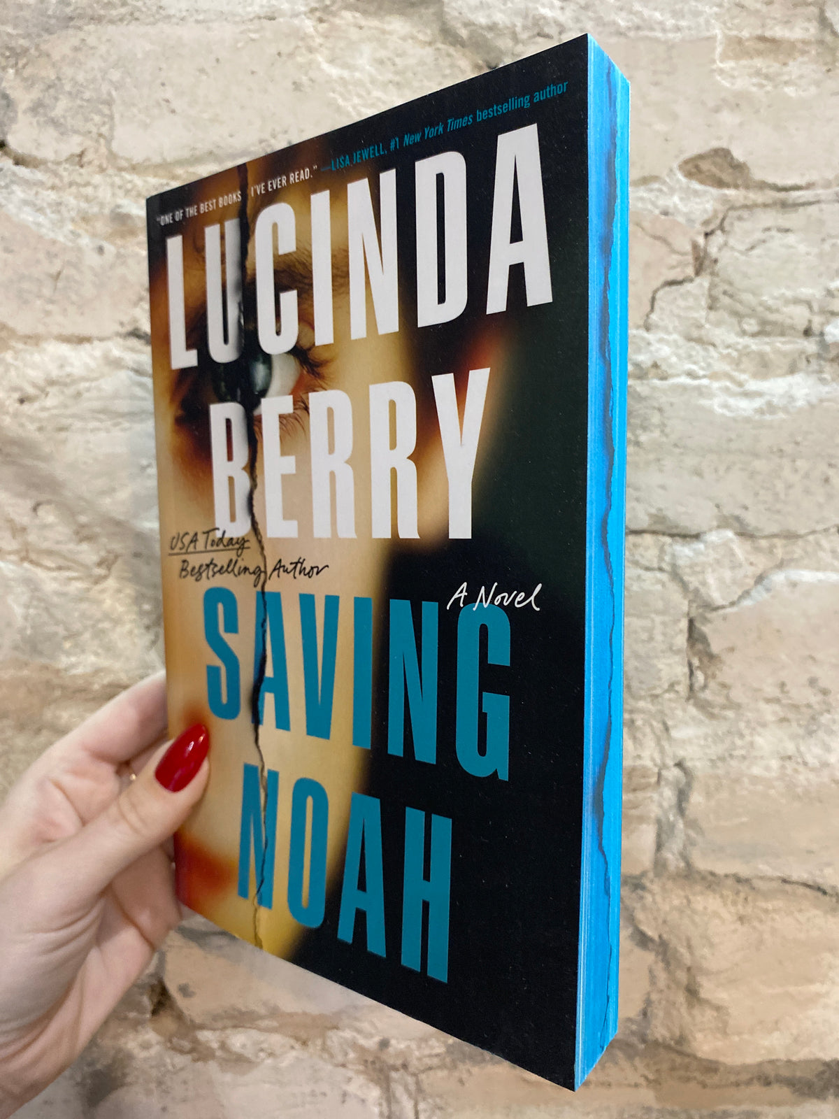 Saving Noah by Lucinda Berry (Deluxe Edition)