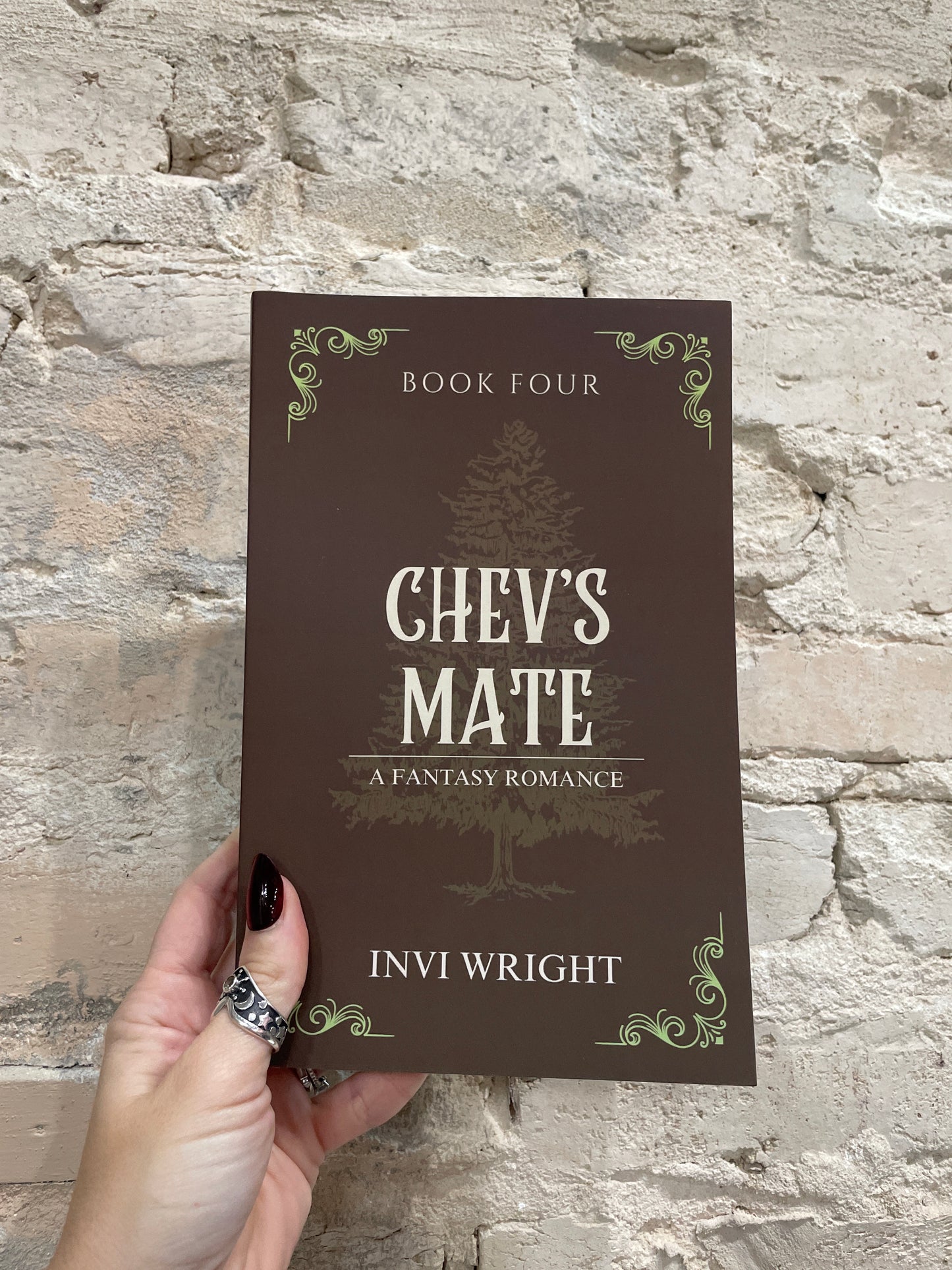 Chev’s Mate by Invi Wright (Book 4)