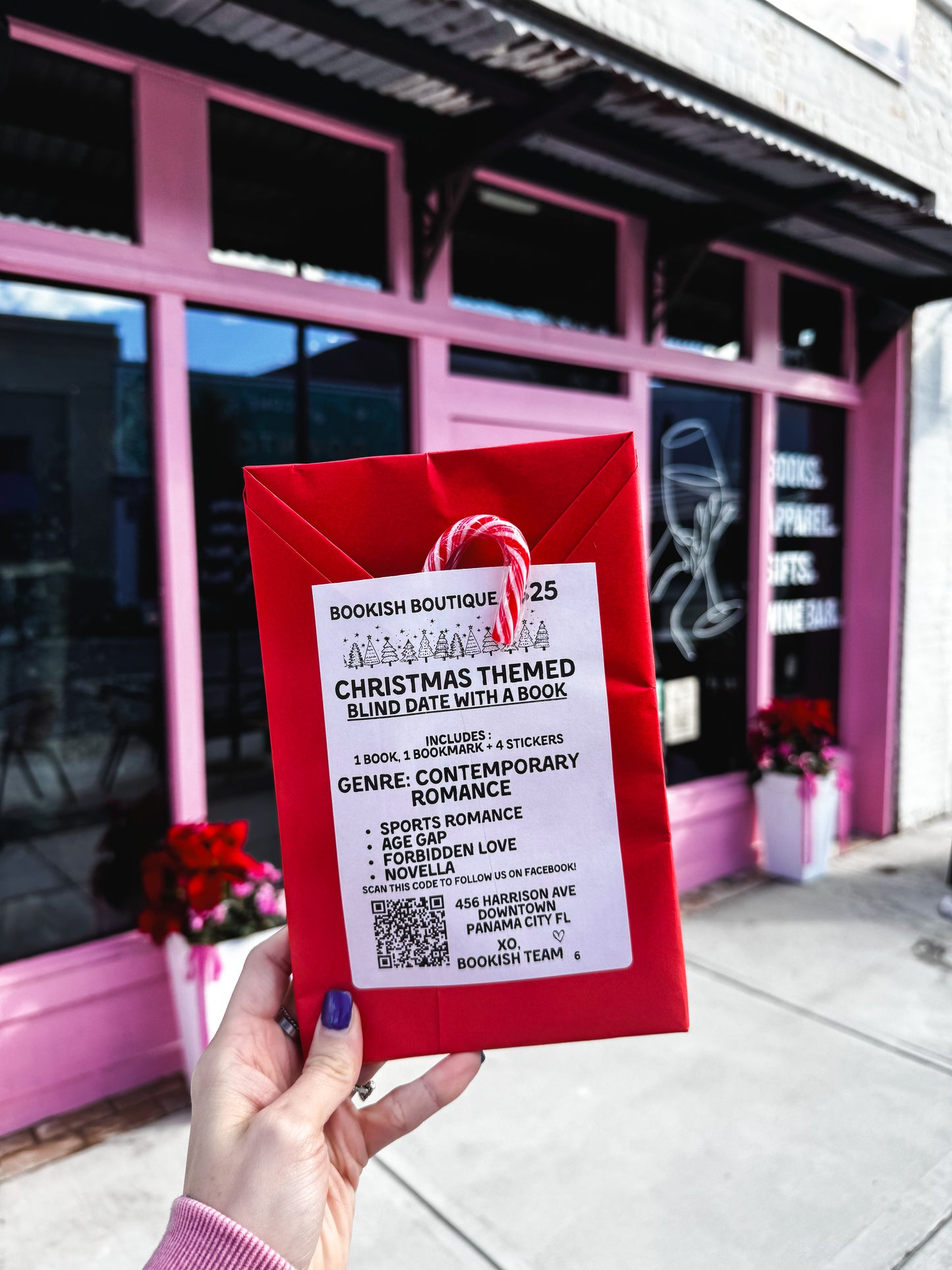 Blind Date Book Christmas