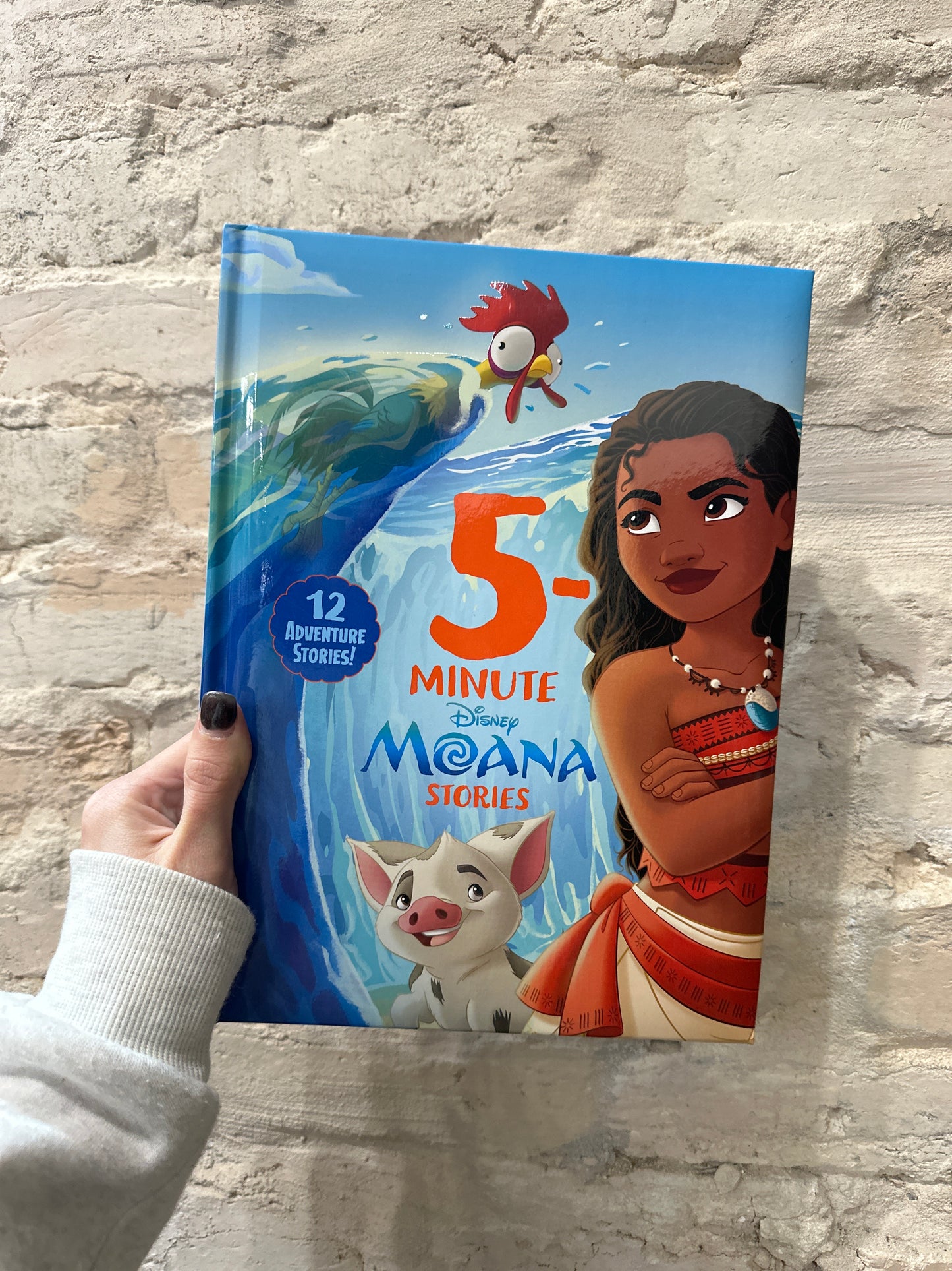 5 Minute Moana Stories