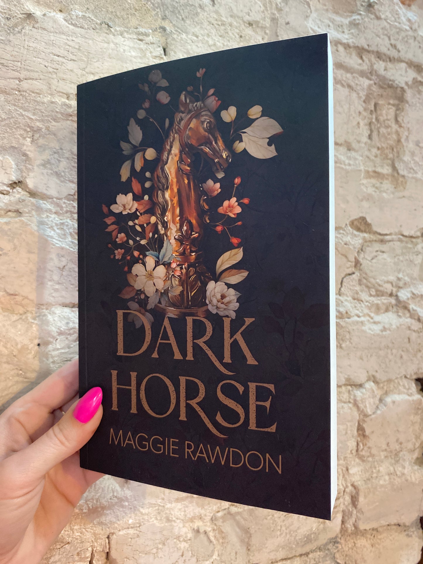 Dark Horse (Book 2) by Maggie Rawdon
