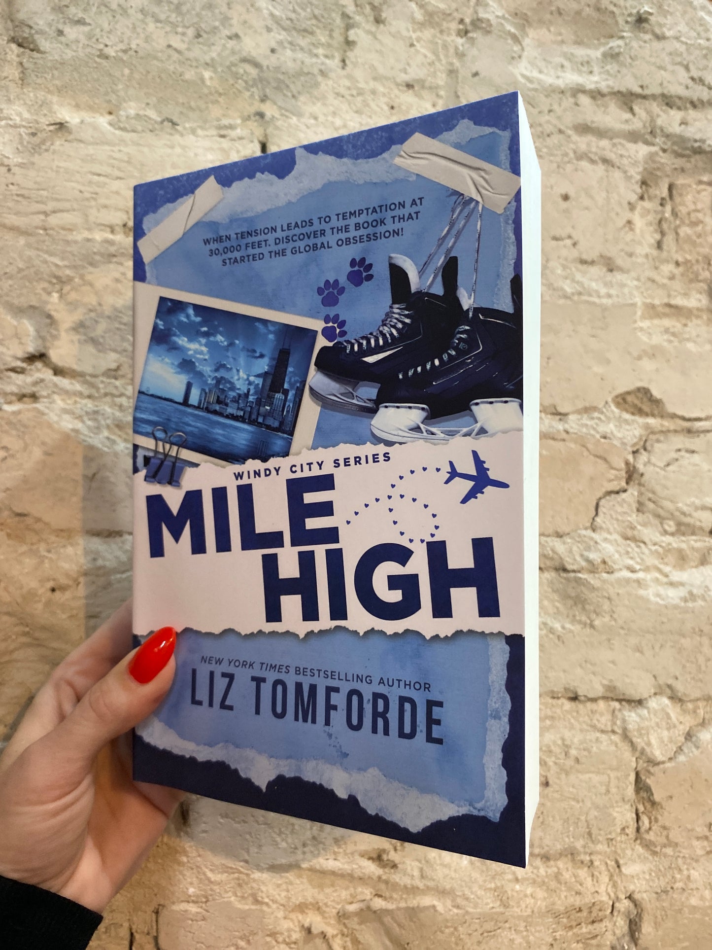 Mile High by Liz Tomforde (Book 1) Standard Edition