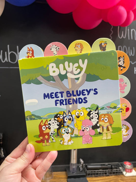 Meet Blueys Friends
