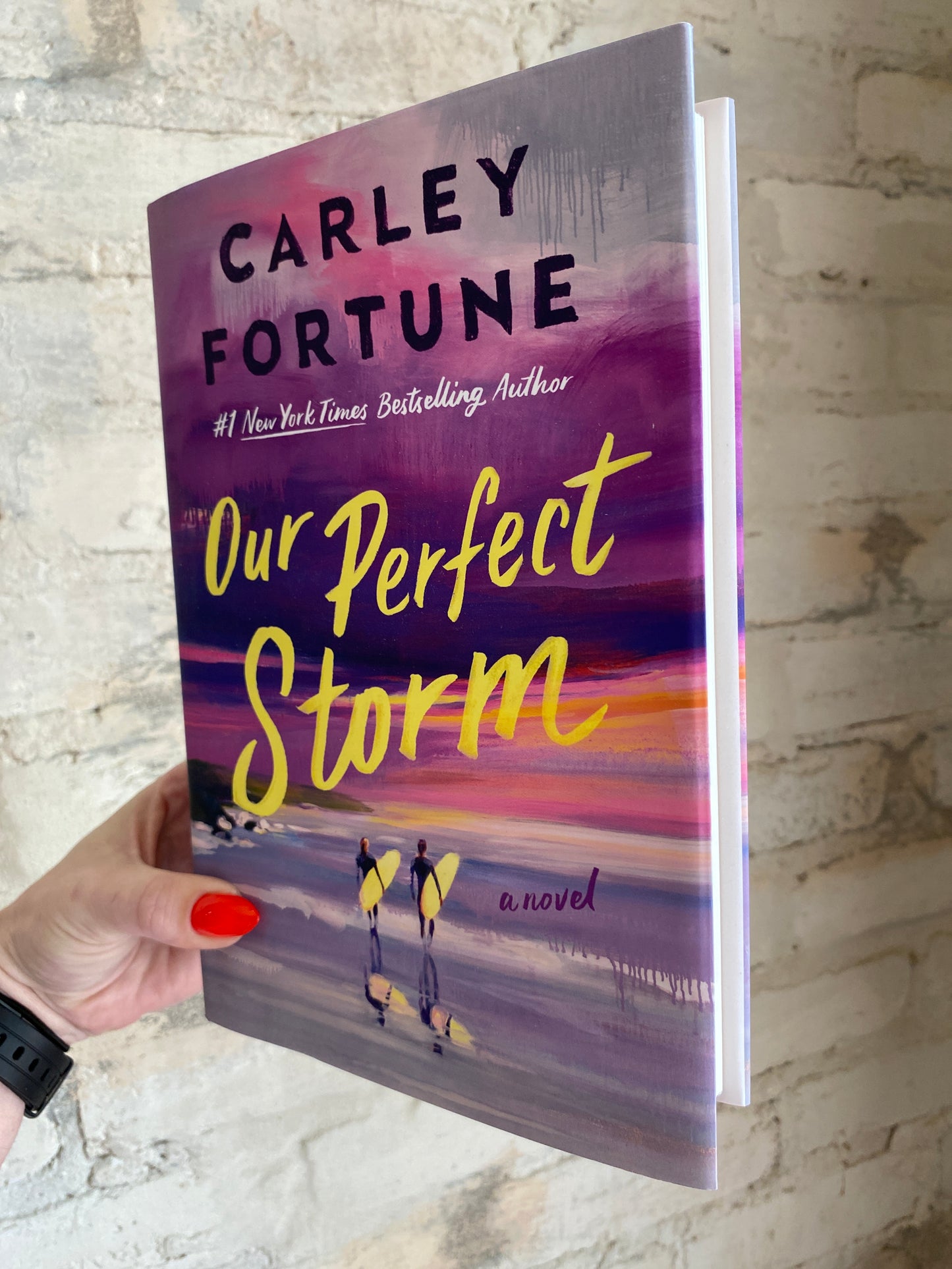 Our Perfect Storm by Carley Fortune