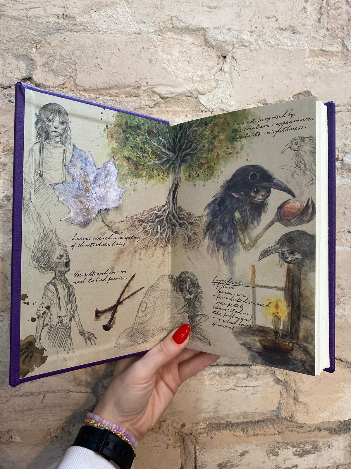 Emily Wilde’s Encyclopaedia of Faeries by Heather Fawcett (Deluxe Hardcover) *PREORDER*
