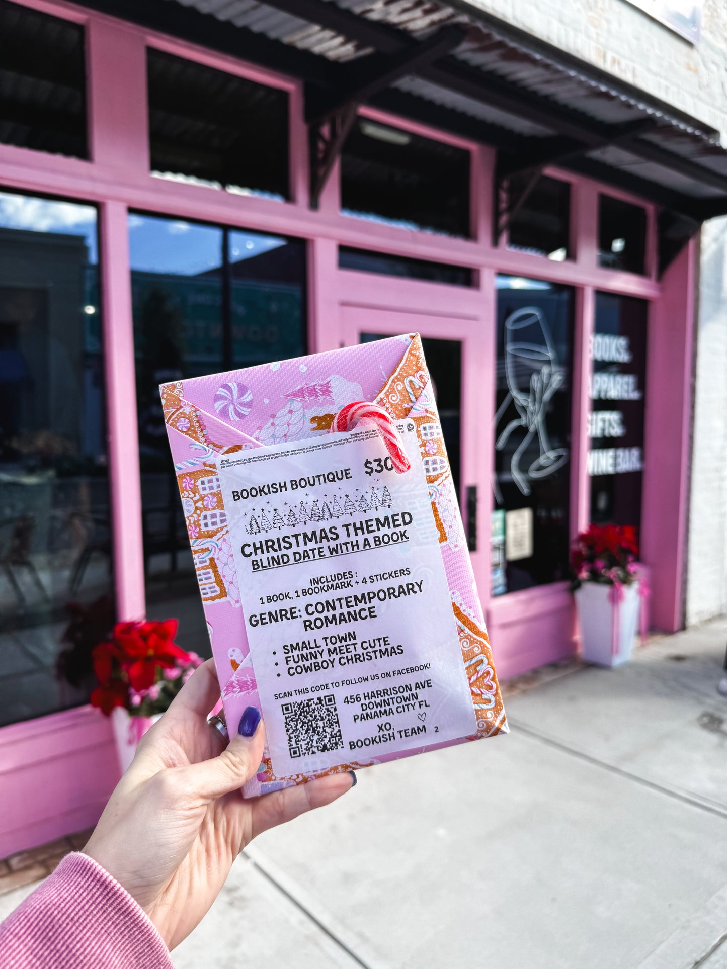 Blind Date Book Christmas