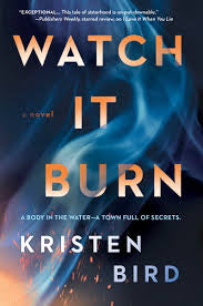 Watch It Burn (paperback)