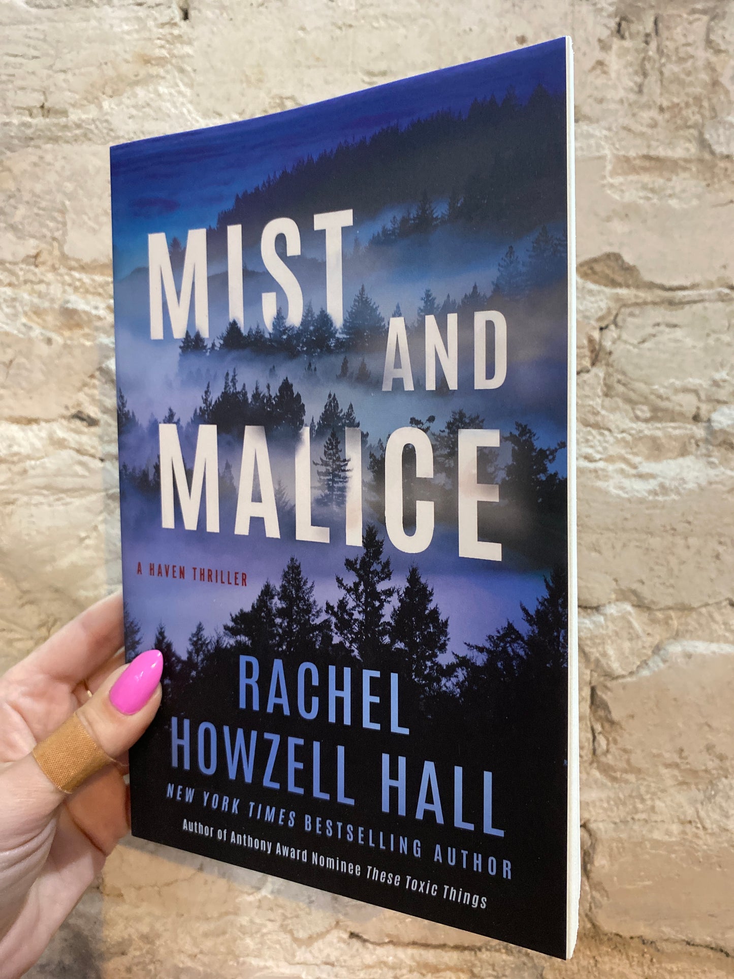Mist and Malice by Rachel Howzell Hall