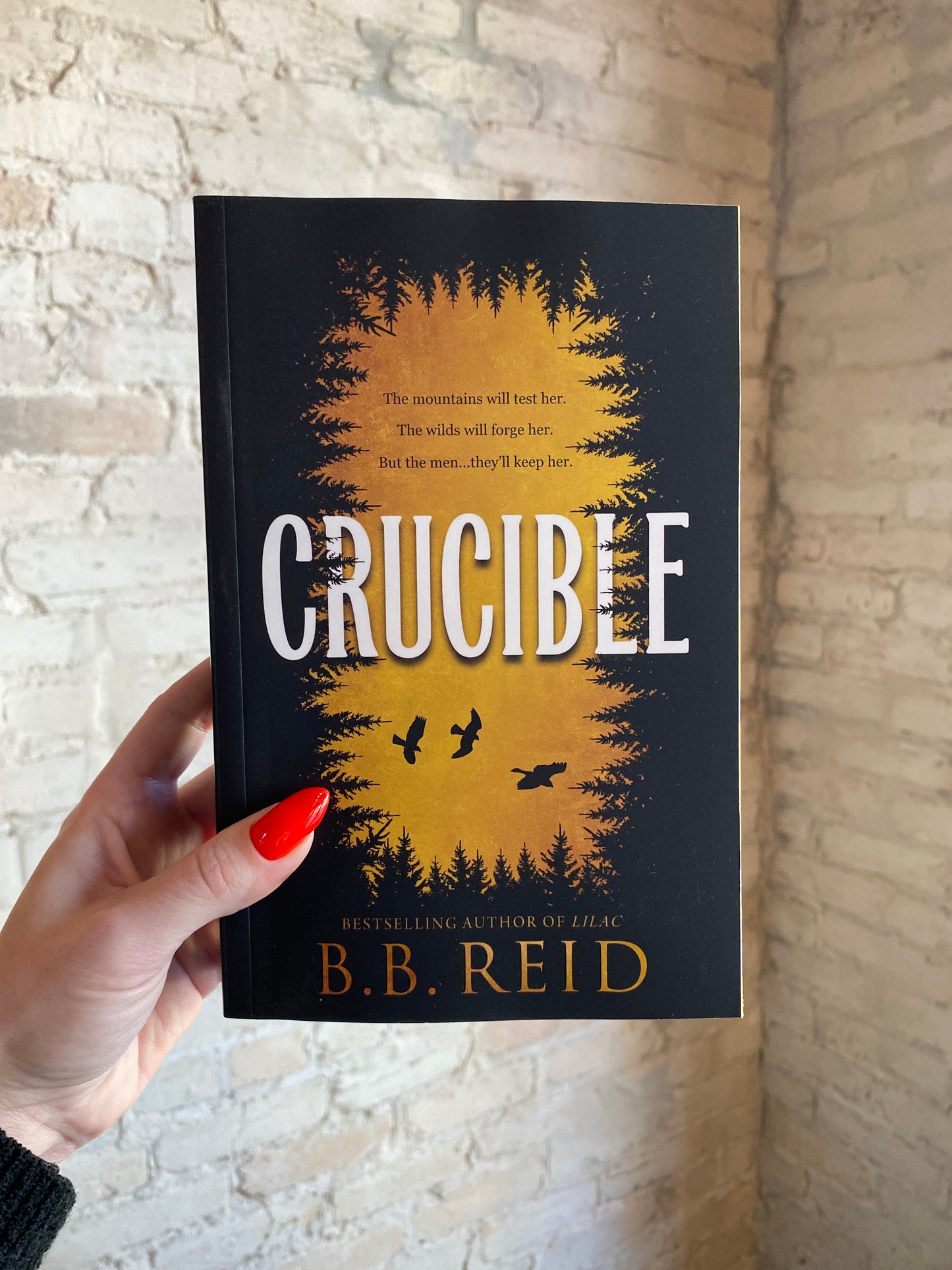 Crucible by B.B. Reid (Deluxe Edition) (Book 1)