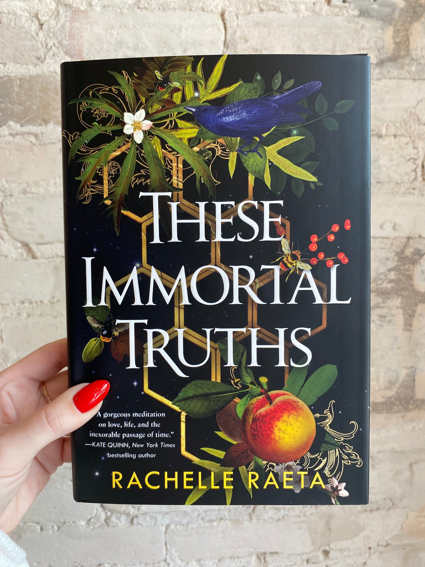 These Immortal Truths by Rachelle Raeta (Deluxe Hardcover) PREORDER