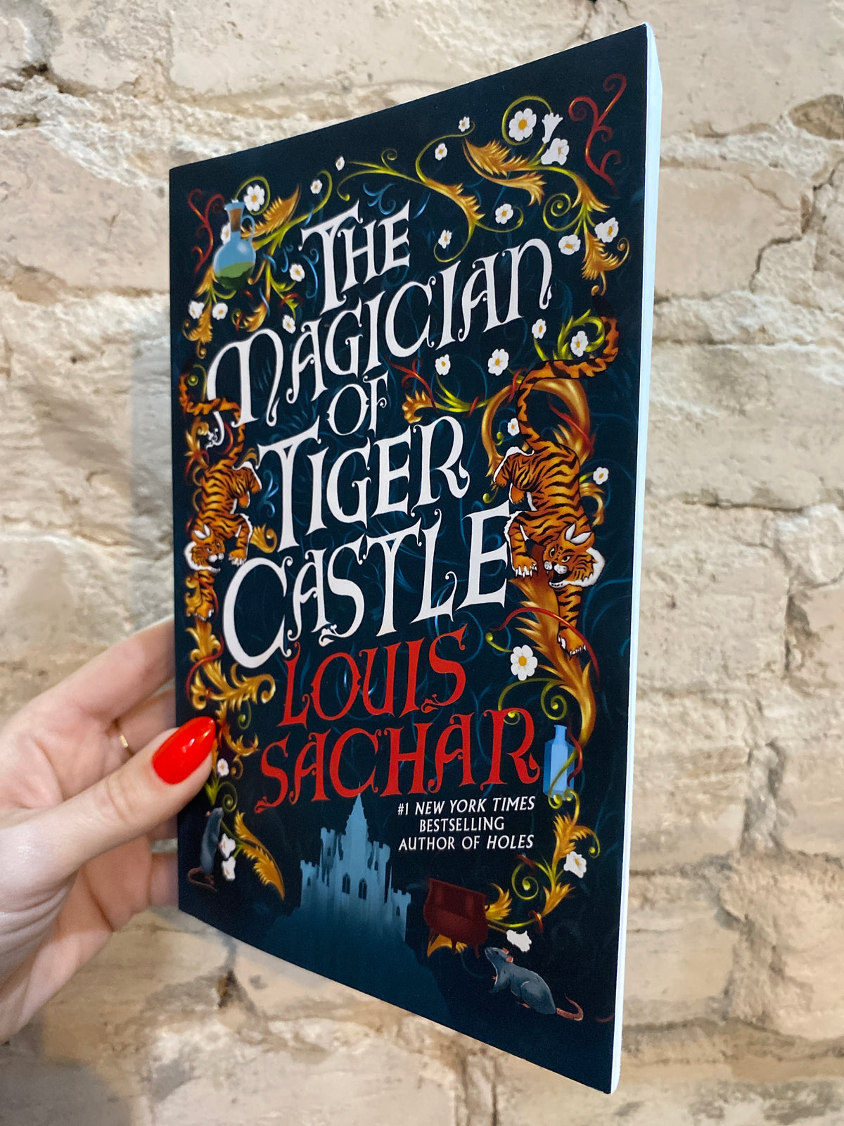 Magician of Tiger Castle by Louis Sachar