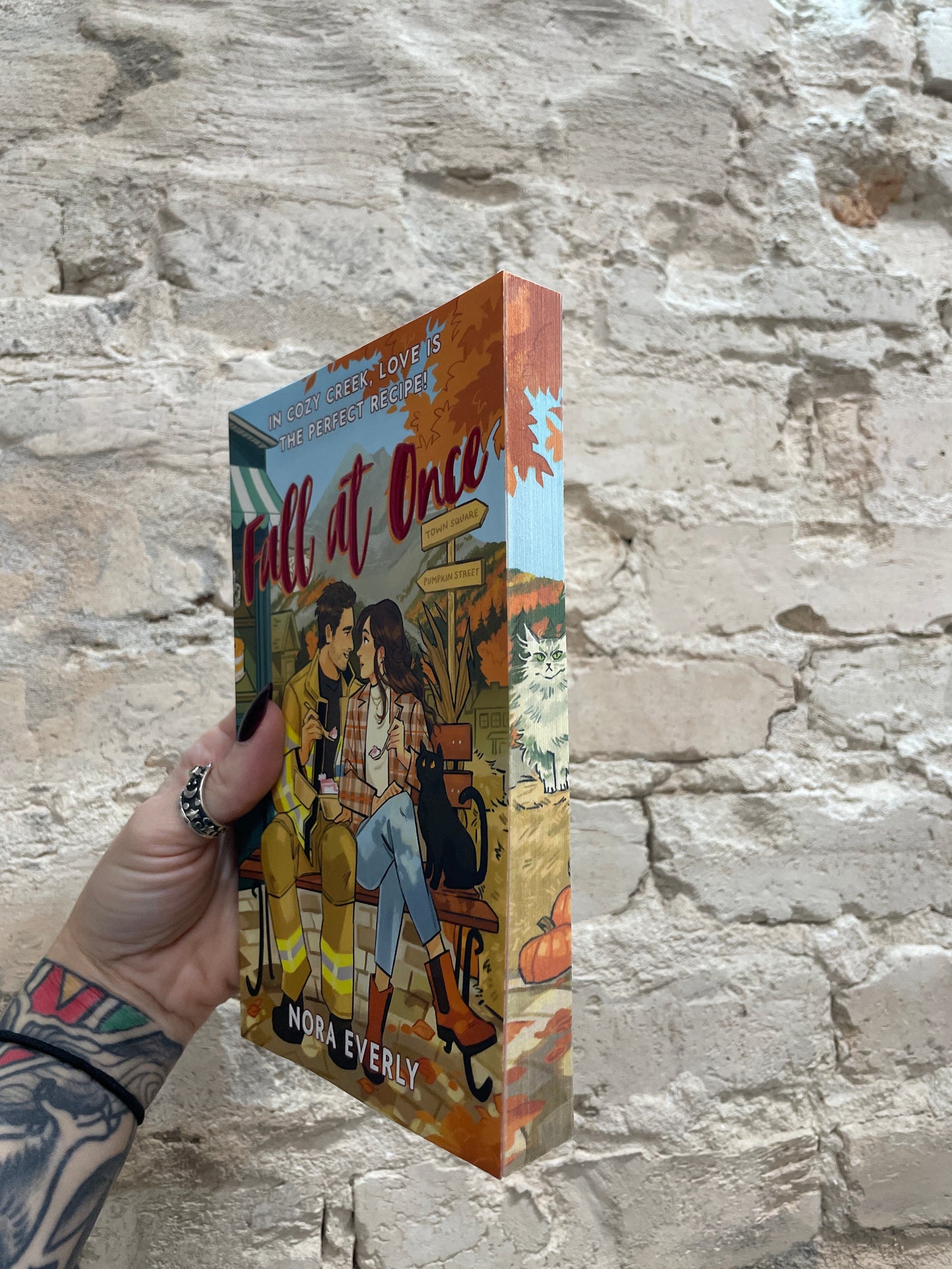 Fall At Once by Nora Everly (Book 3)