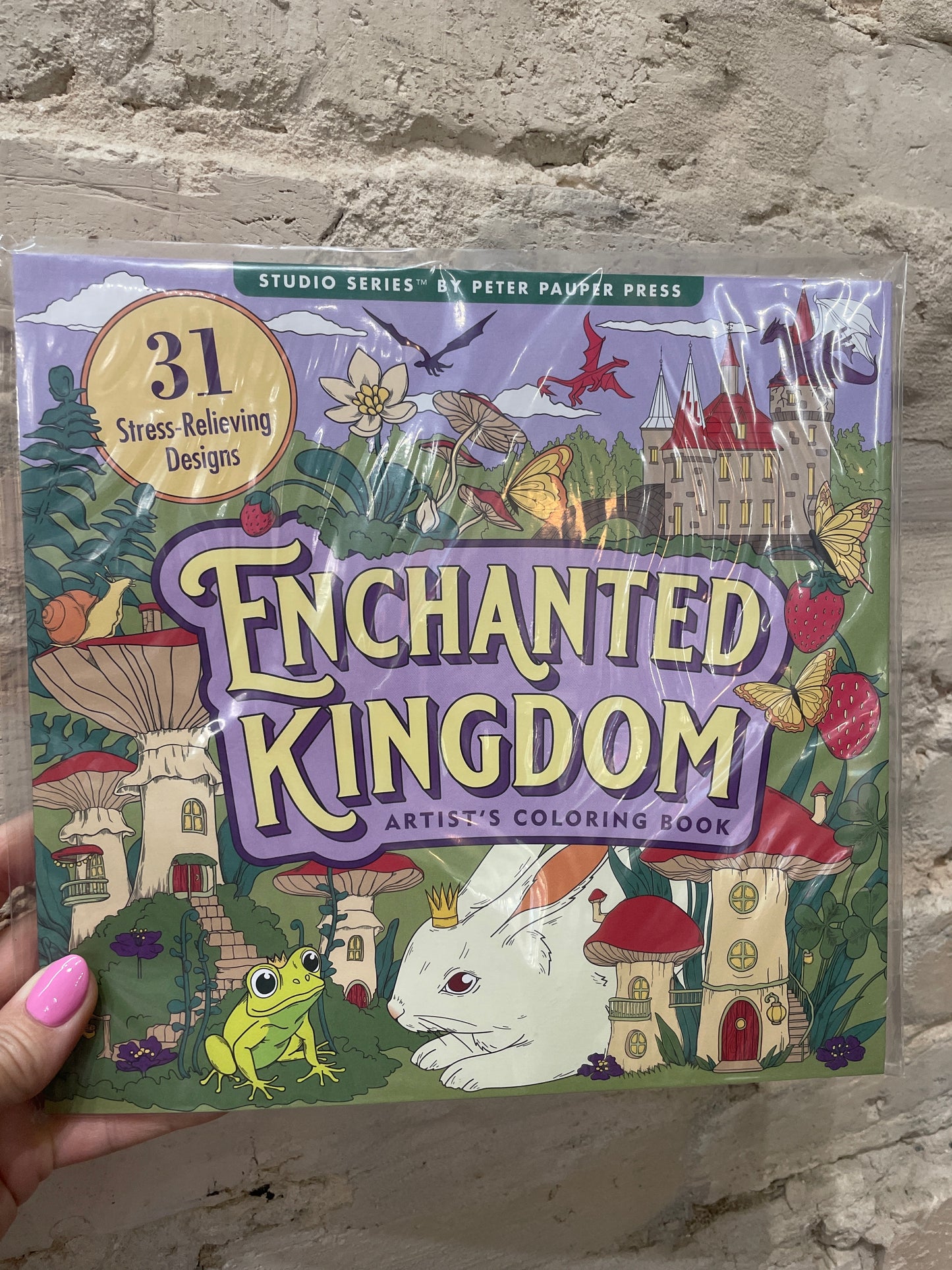 Color Book Enchanted Kingdom