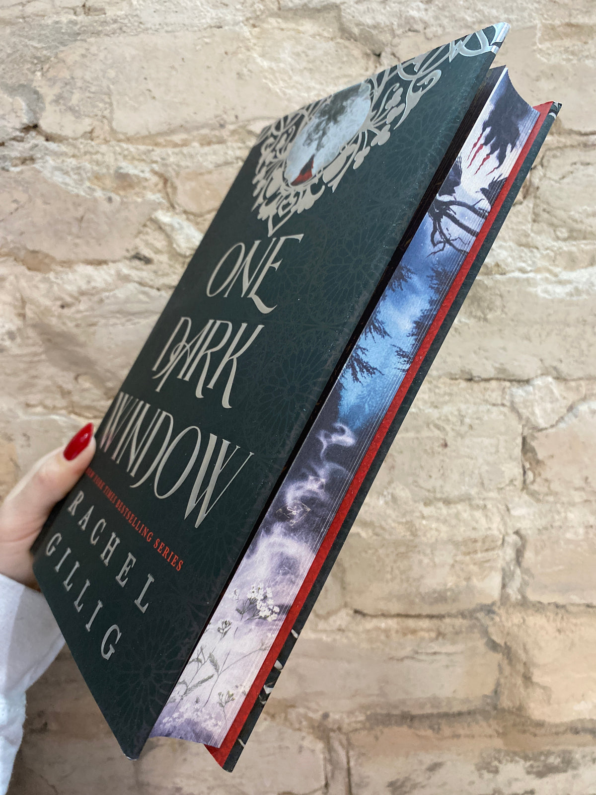 One Dark Window by Rachel Gillig (Deluxe Hardcover) (The Shepherd King: Book 1)