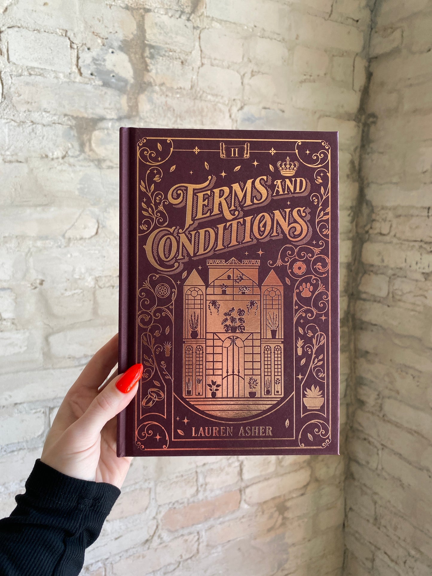 Terms and Conditions by Lauren Asher (Collector's Edition) (Book 2) *PREORDER*