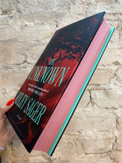 The Unknown by Riley Sager