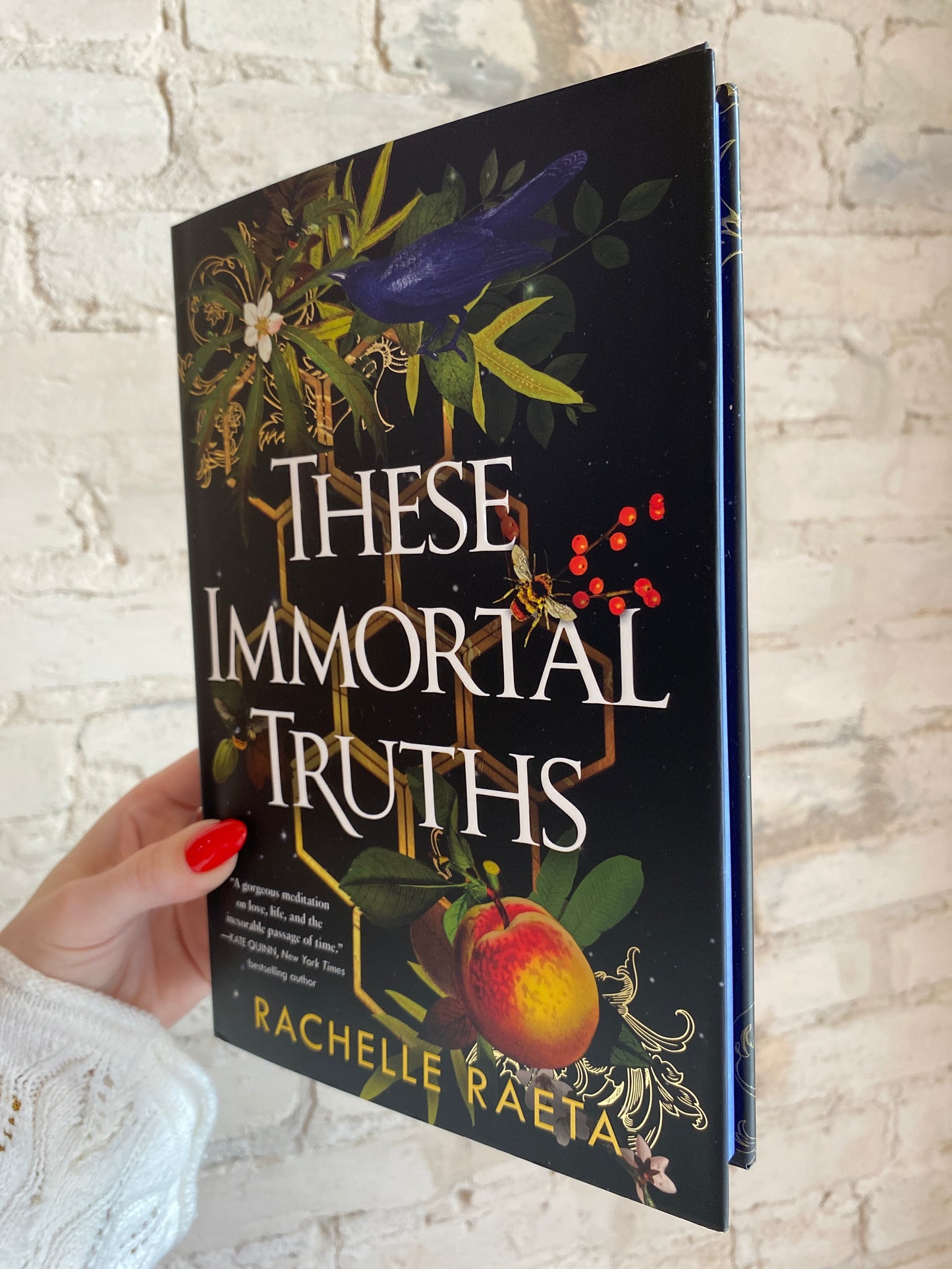 These Immortal Truths by Rachelle Raeta (Deluxe Hardcover) PREORDER