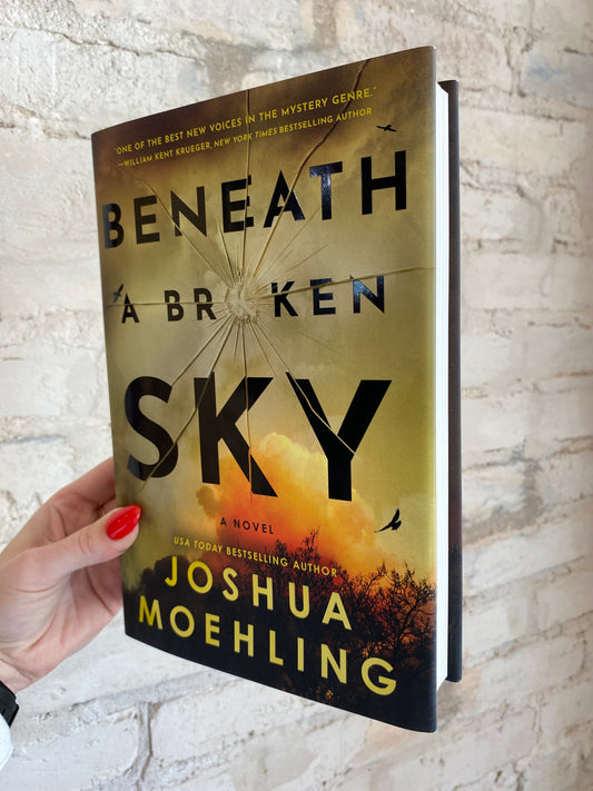 Beneath a Broken Sky by Joshua Moehling