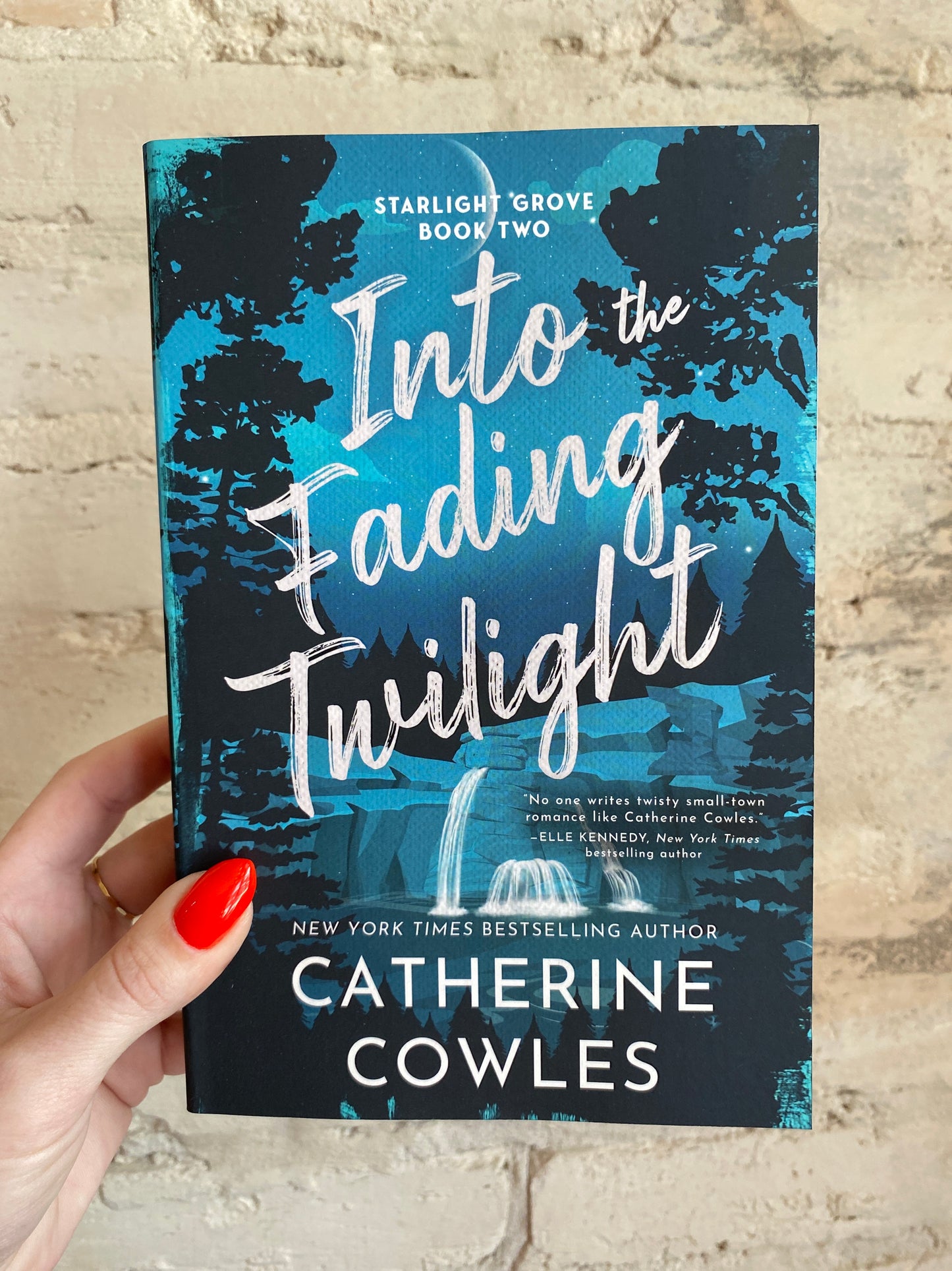 Into the Fading Twilight by Catherine Cowles (Book 2)