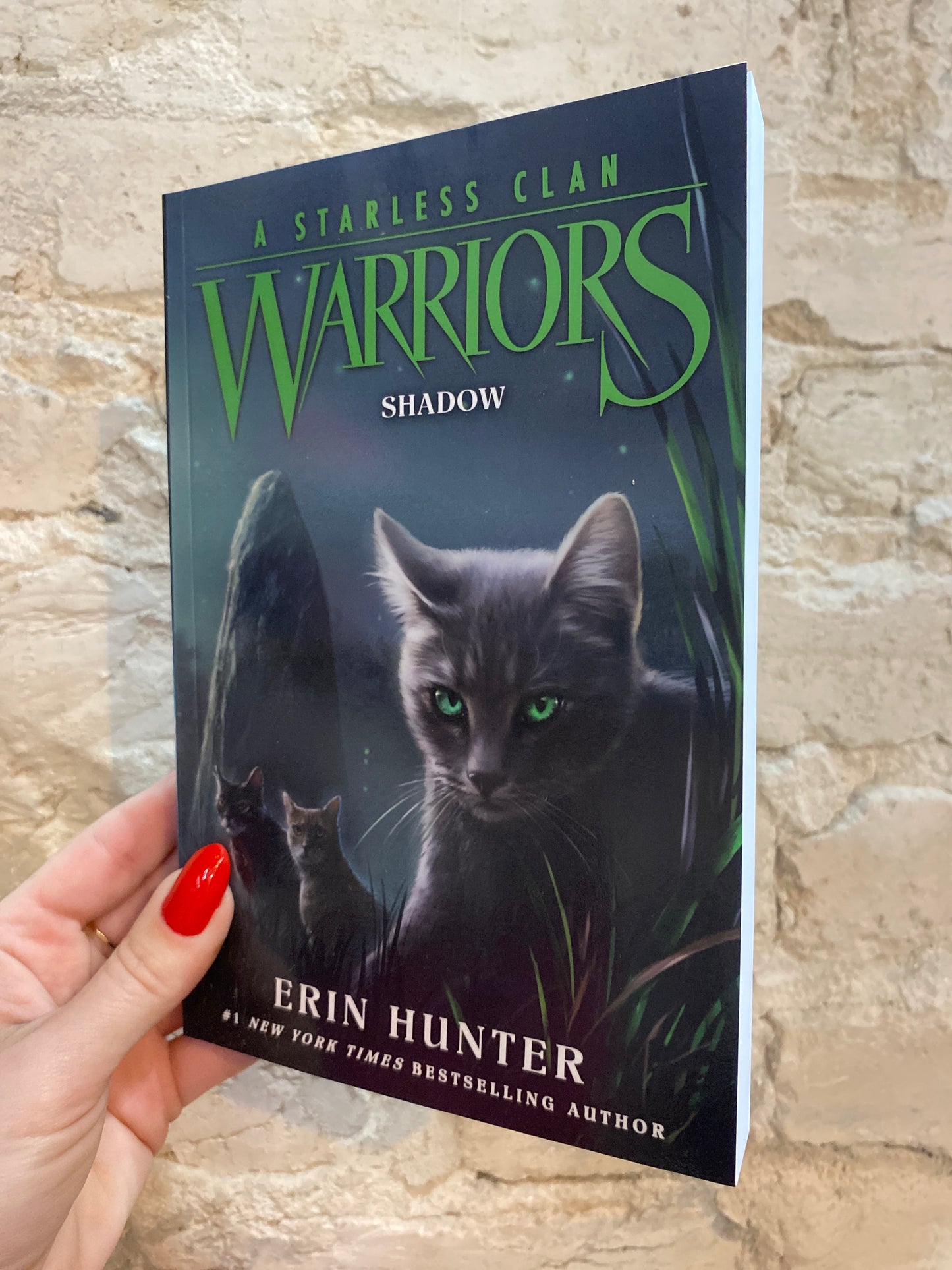 Warriors - A Starless Clan: Shadow (Book 3) by Erin Hunter