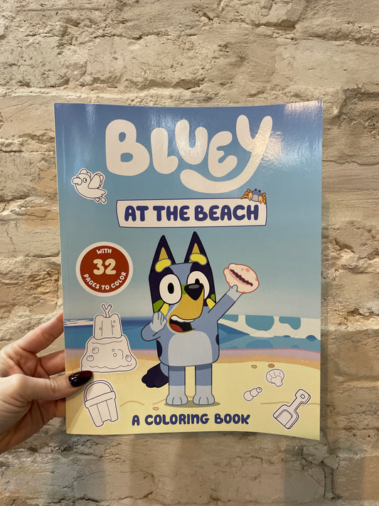 Bluey At The Beach