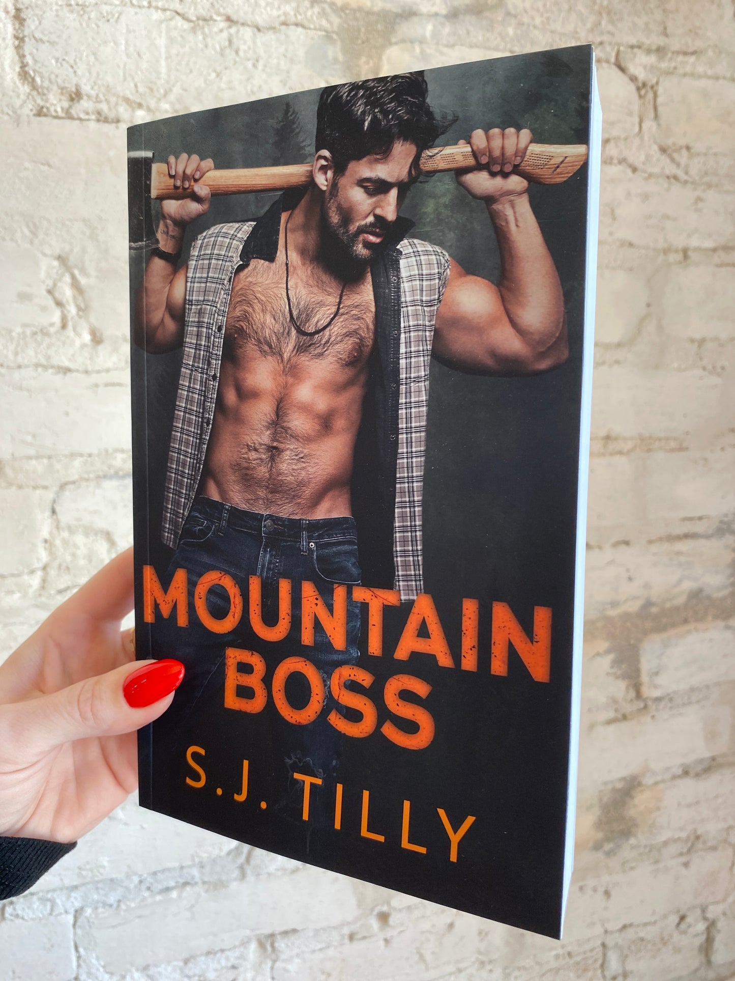 Mountain Boss by S.J. Tilly (Mountain Men: Book 1)